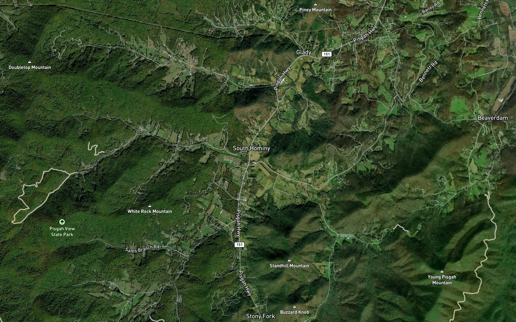 Satellite map of the Glady Fork