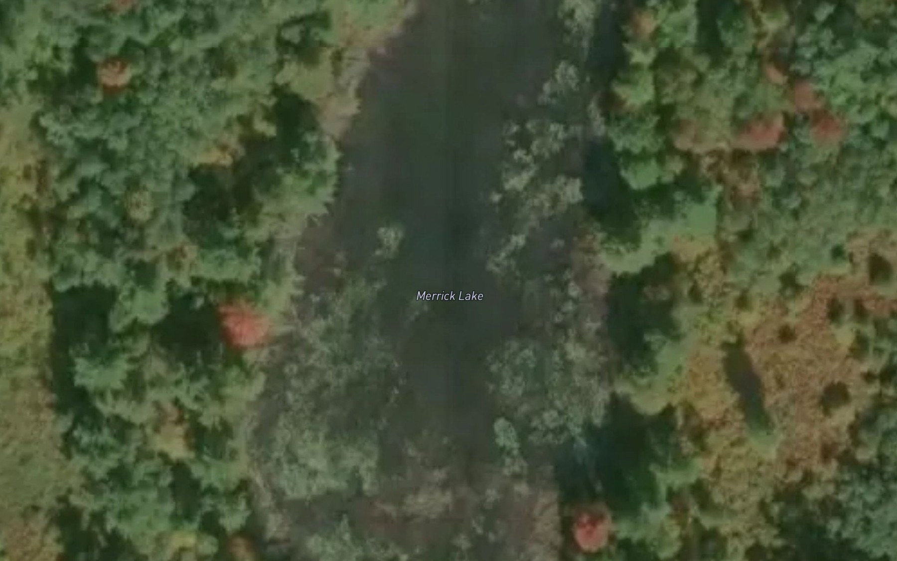 Satellite map of the Merrick Lake