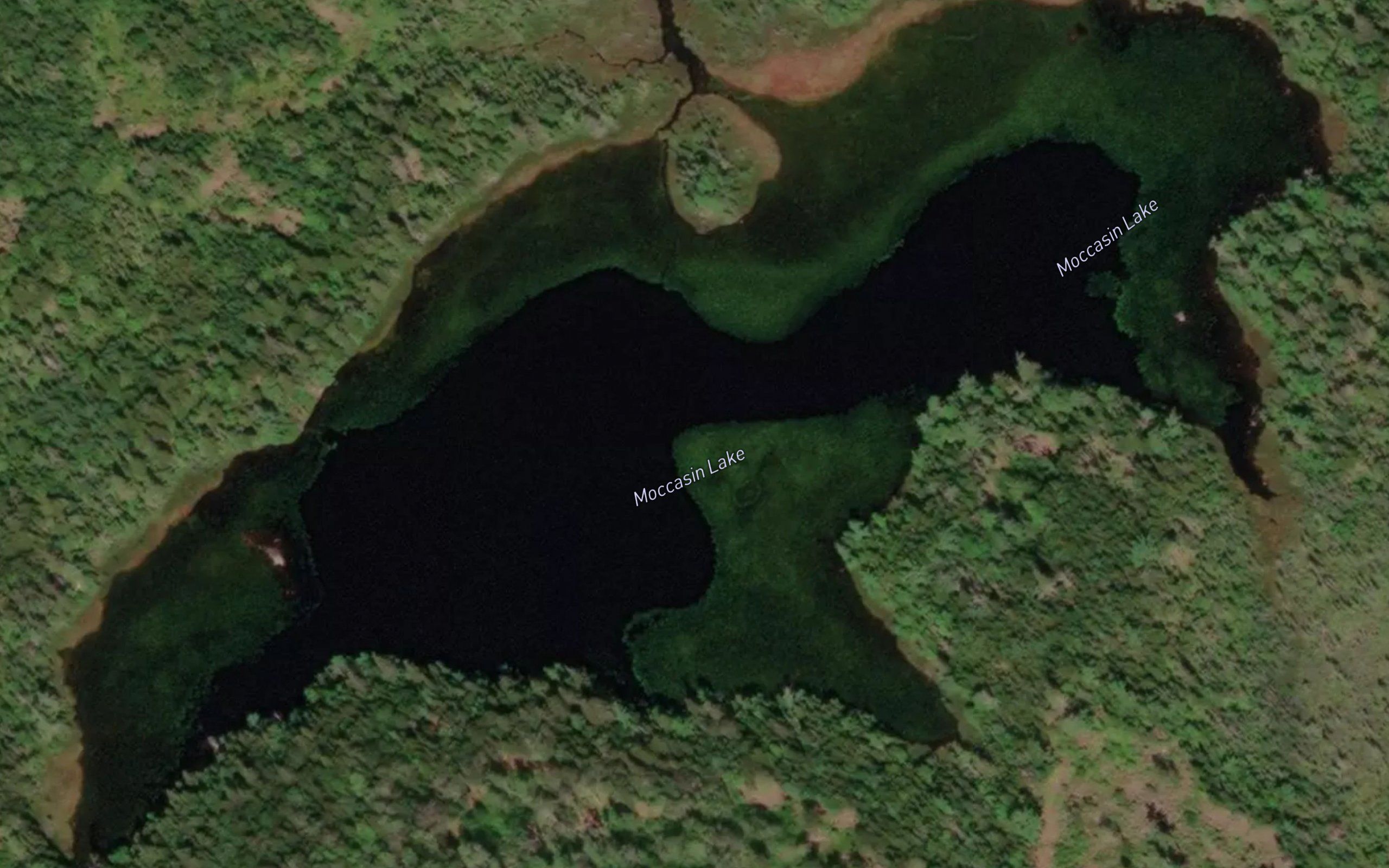 Moccasin Lake