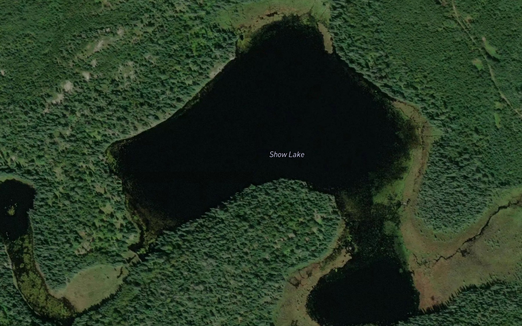 Satellite map of the Show Lake