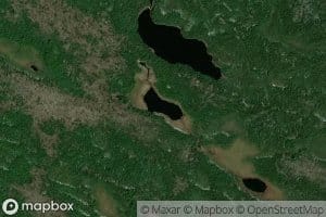 Lac Tinamou