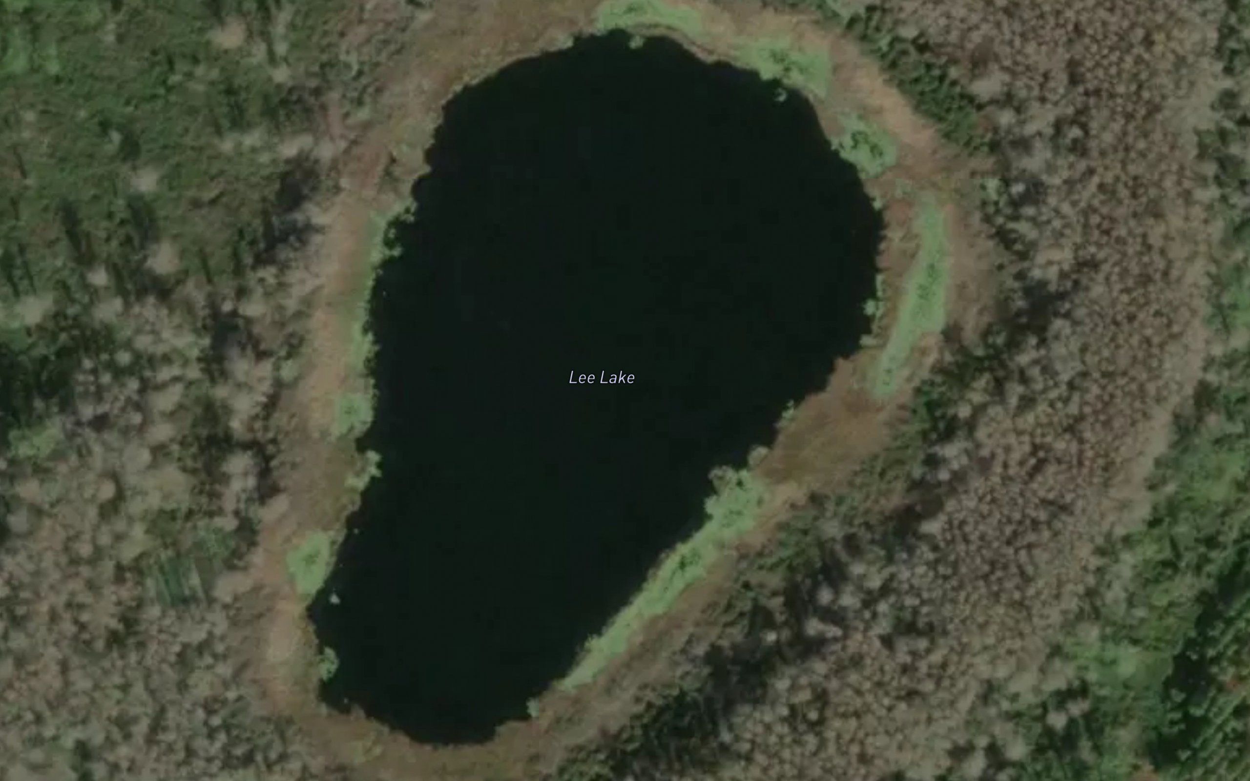Lee Lake