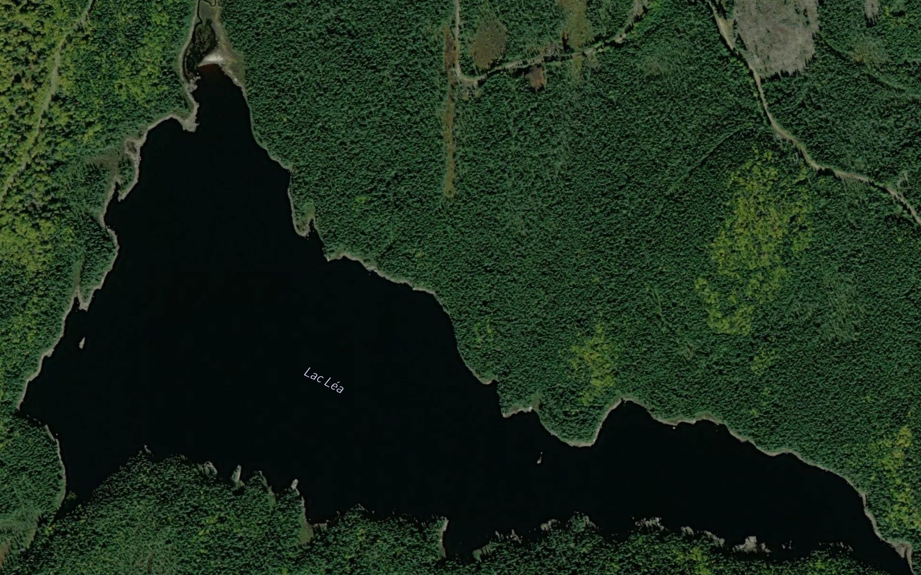 Satellite map of the Lac Lea