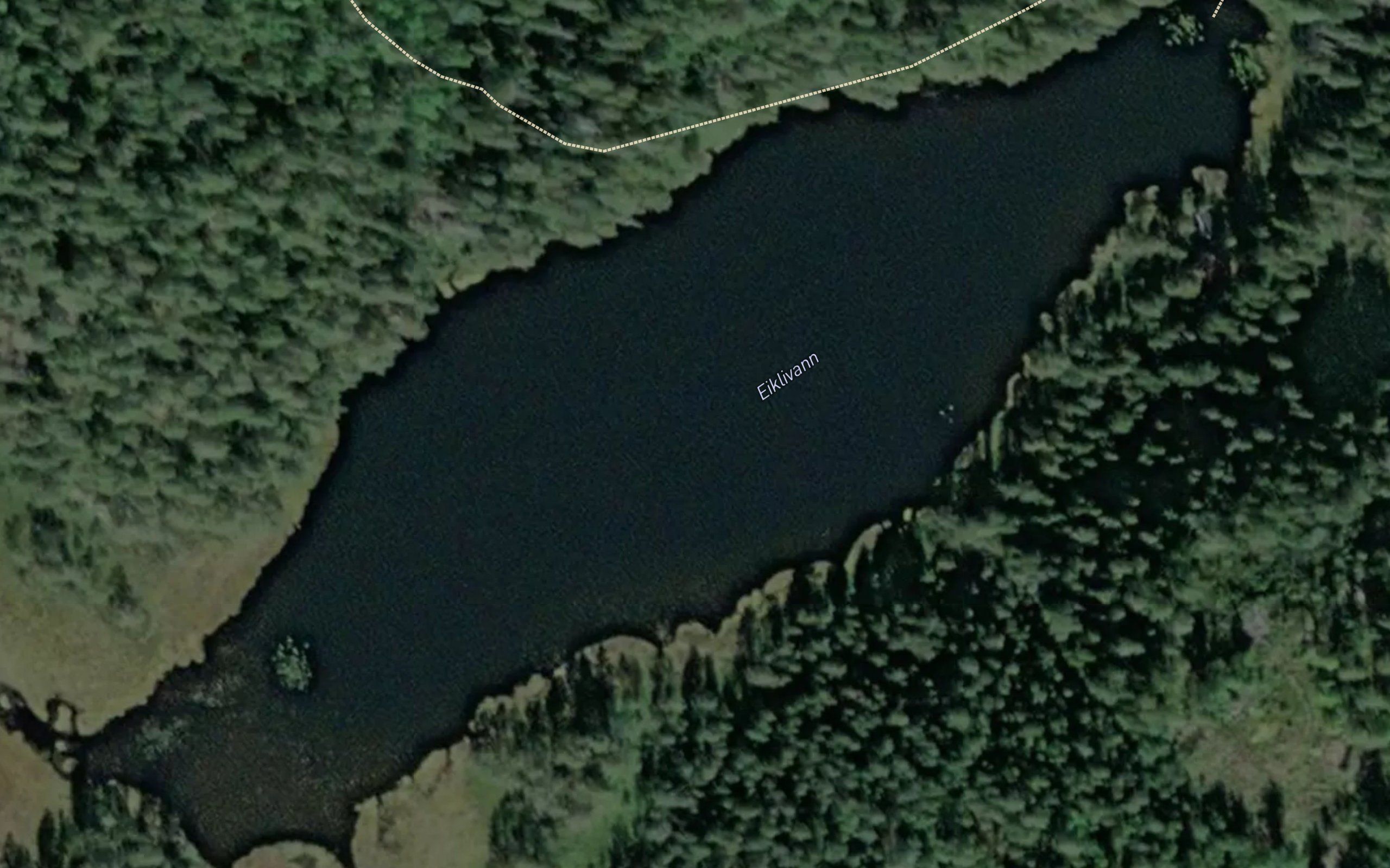 Eikelitjern