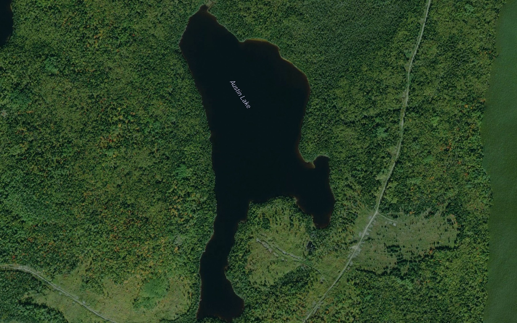Satellite map of the Austin Lake