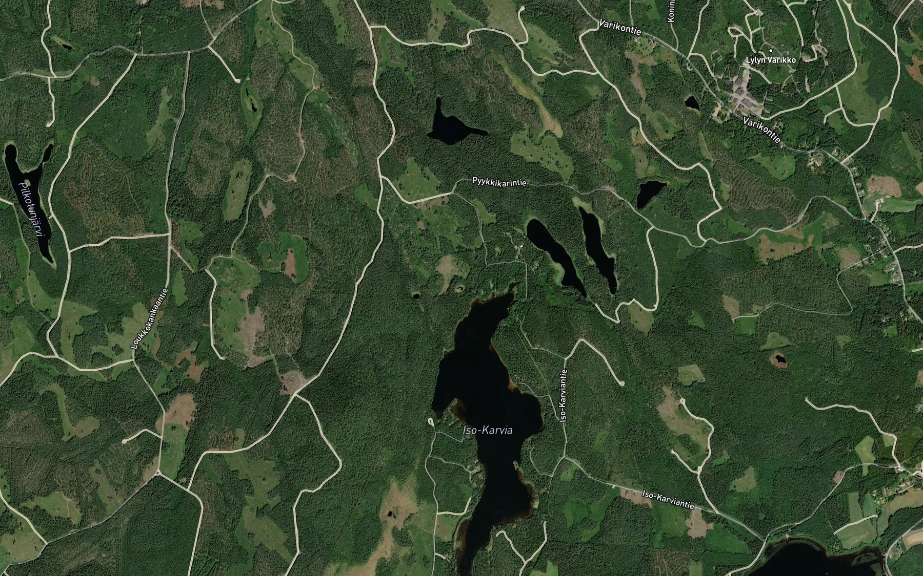 Satellite map of the Karvianlammi