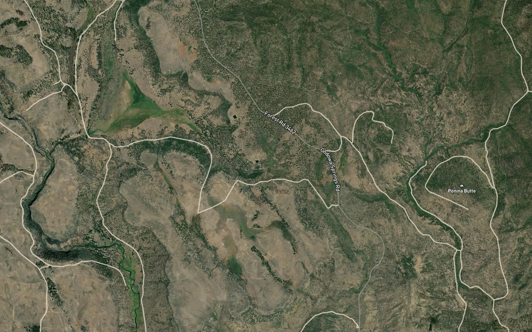 Satellite map of the Rose Mary Pond