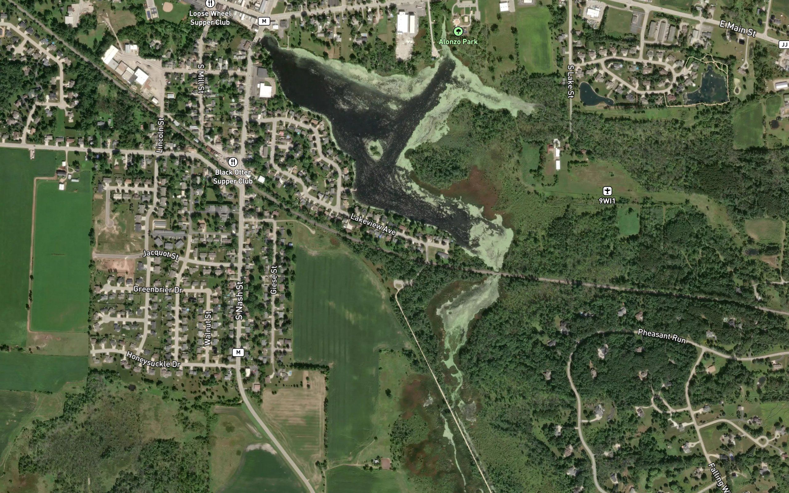 Black Otter Lake
