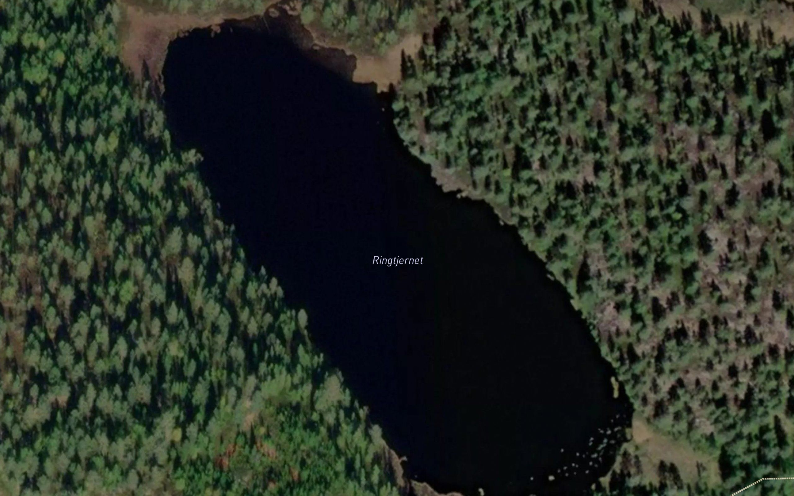 Ringtjernet