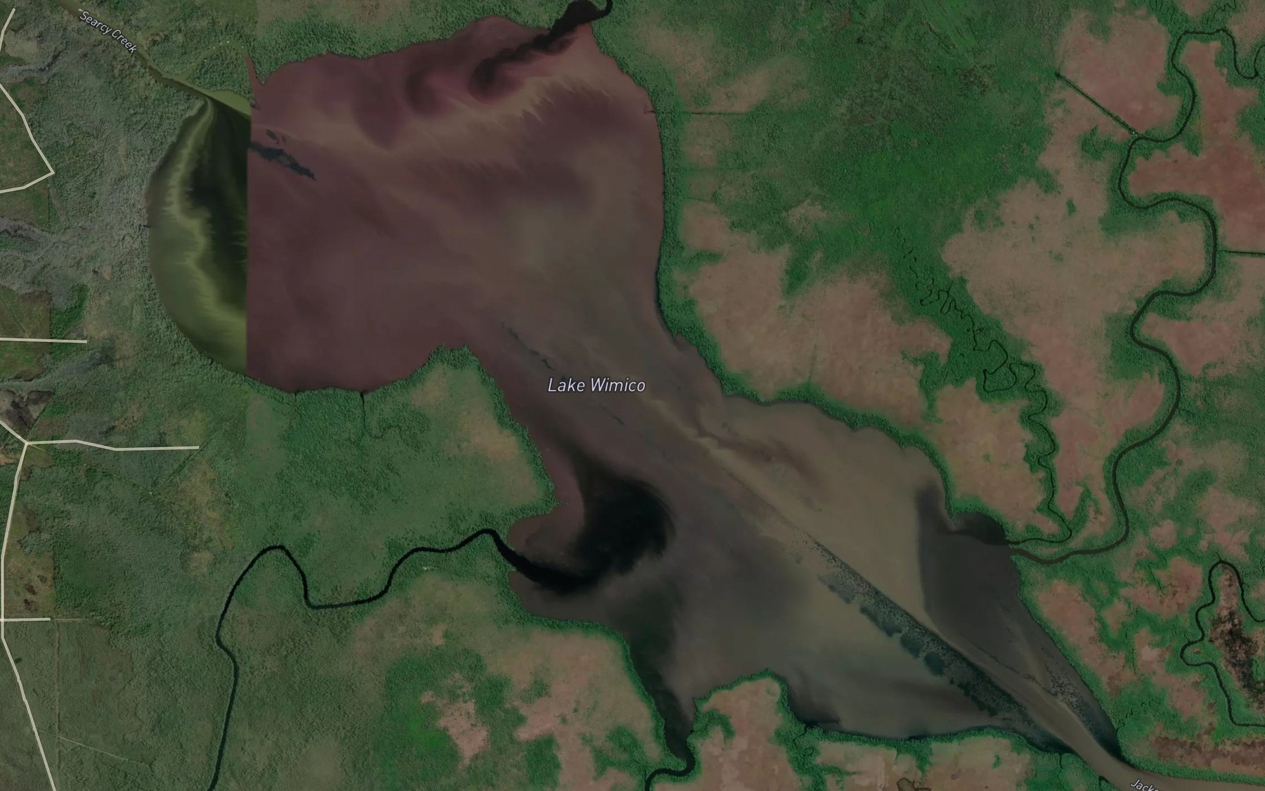 Satellite map of the Lake Wimico