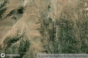 Bosco Spring Number Two