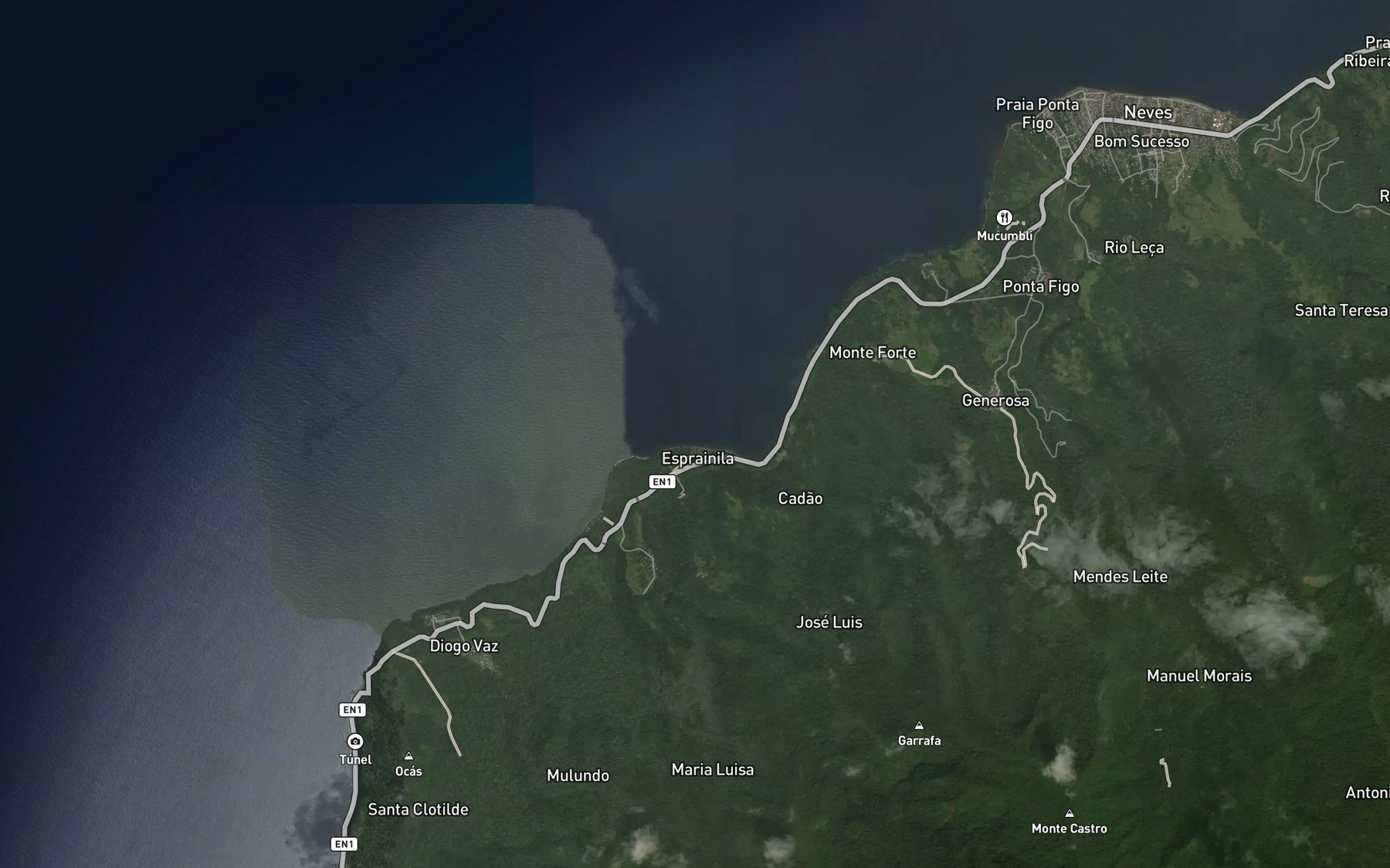 Satellite map of the Rio Anambo