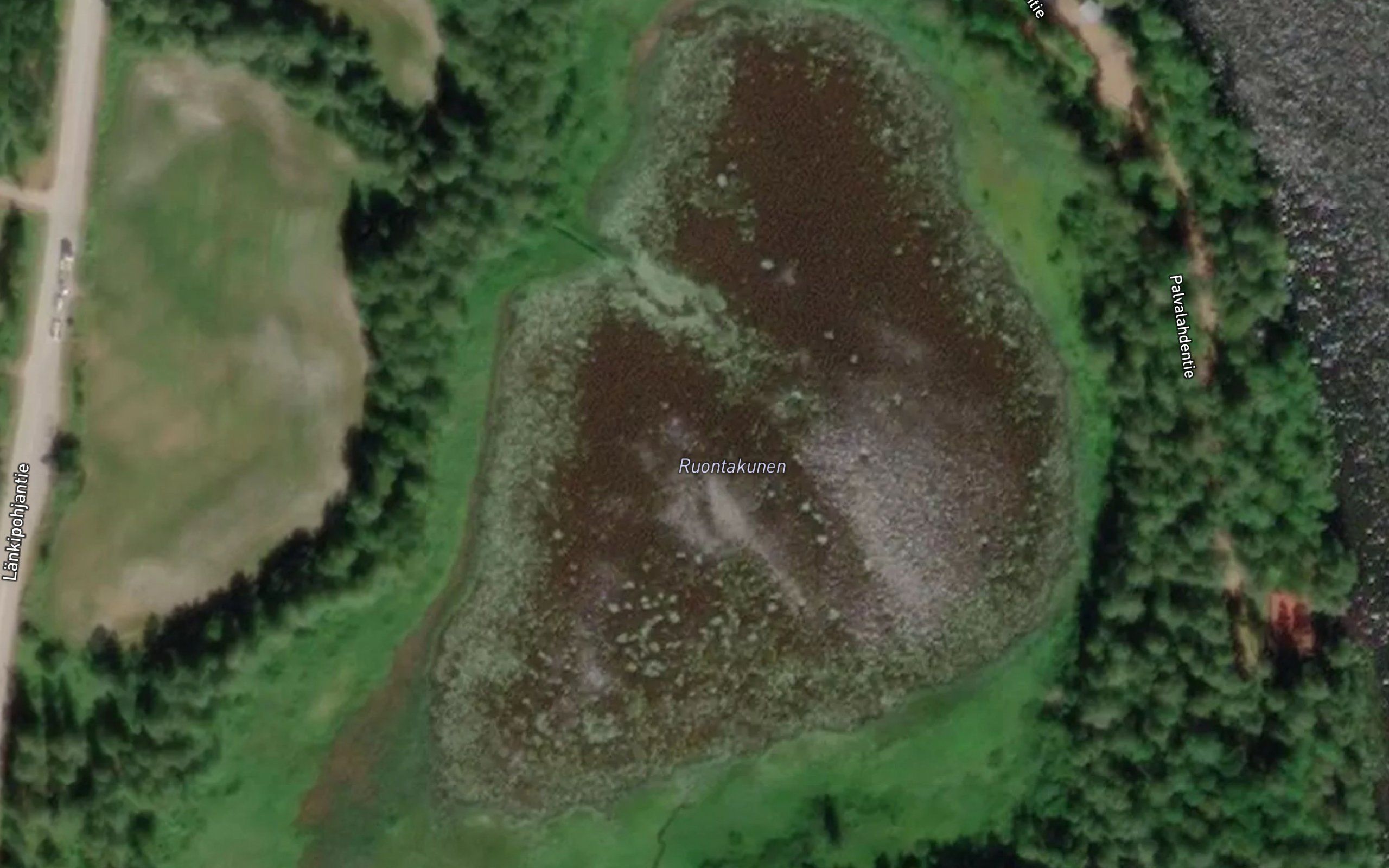 Ruontakunen
