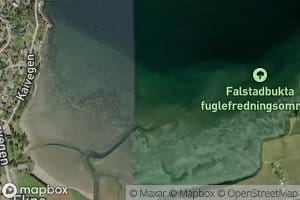 Falstadbukta