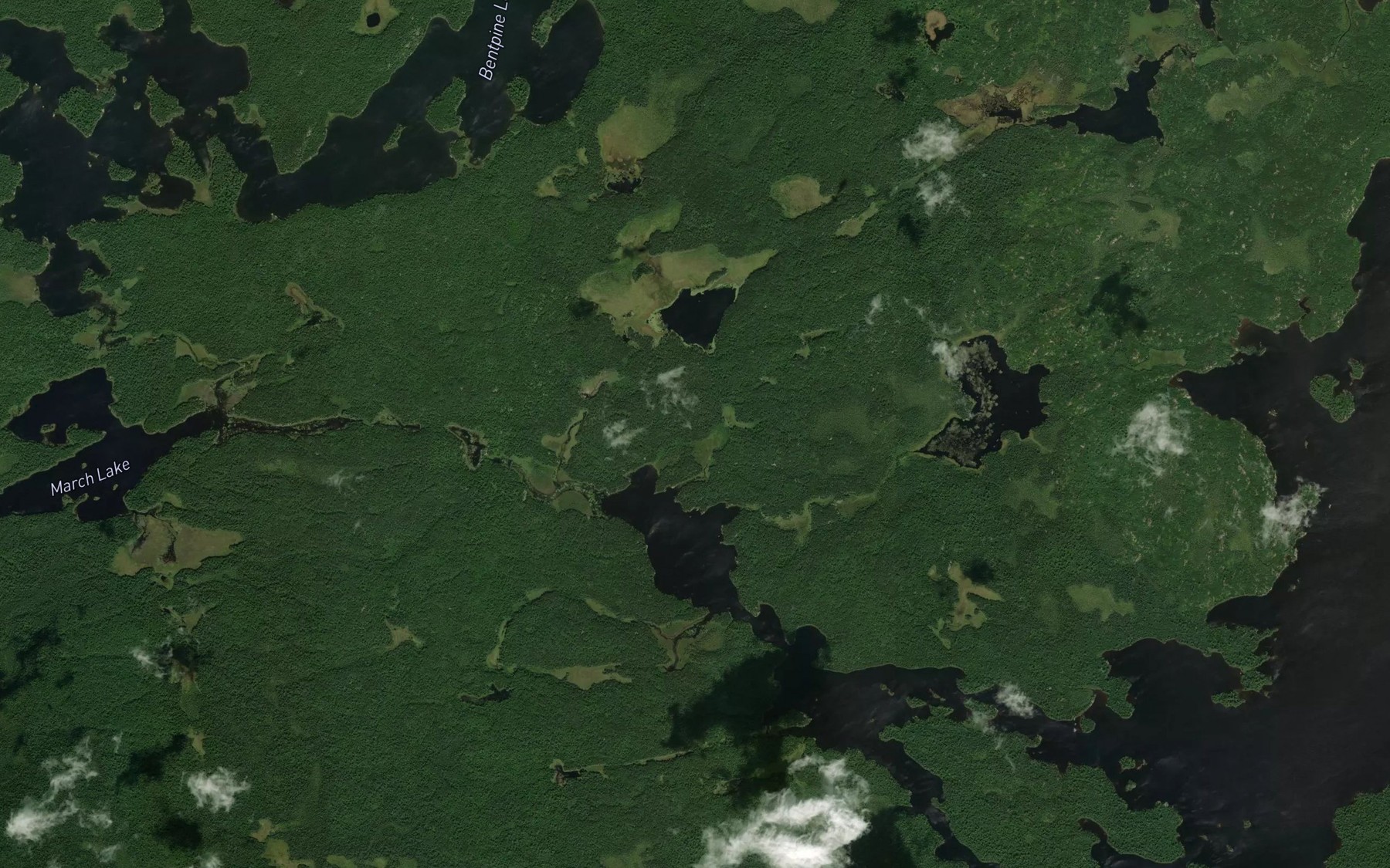 Satellite map of the Bentpine Creek