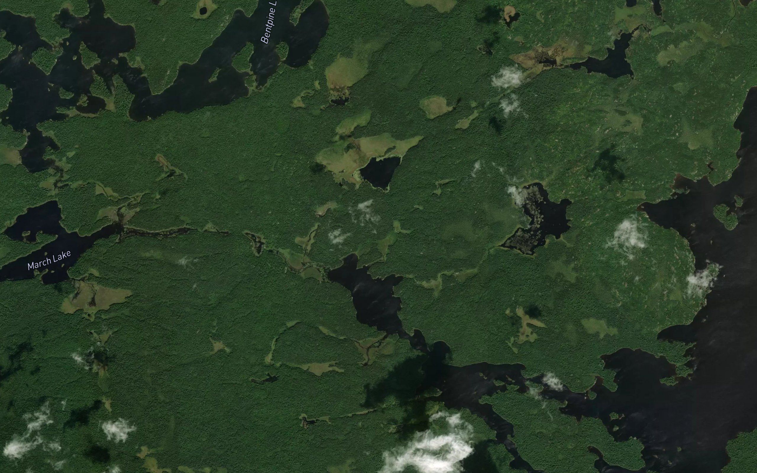 Bentpine Creek