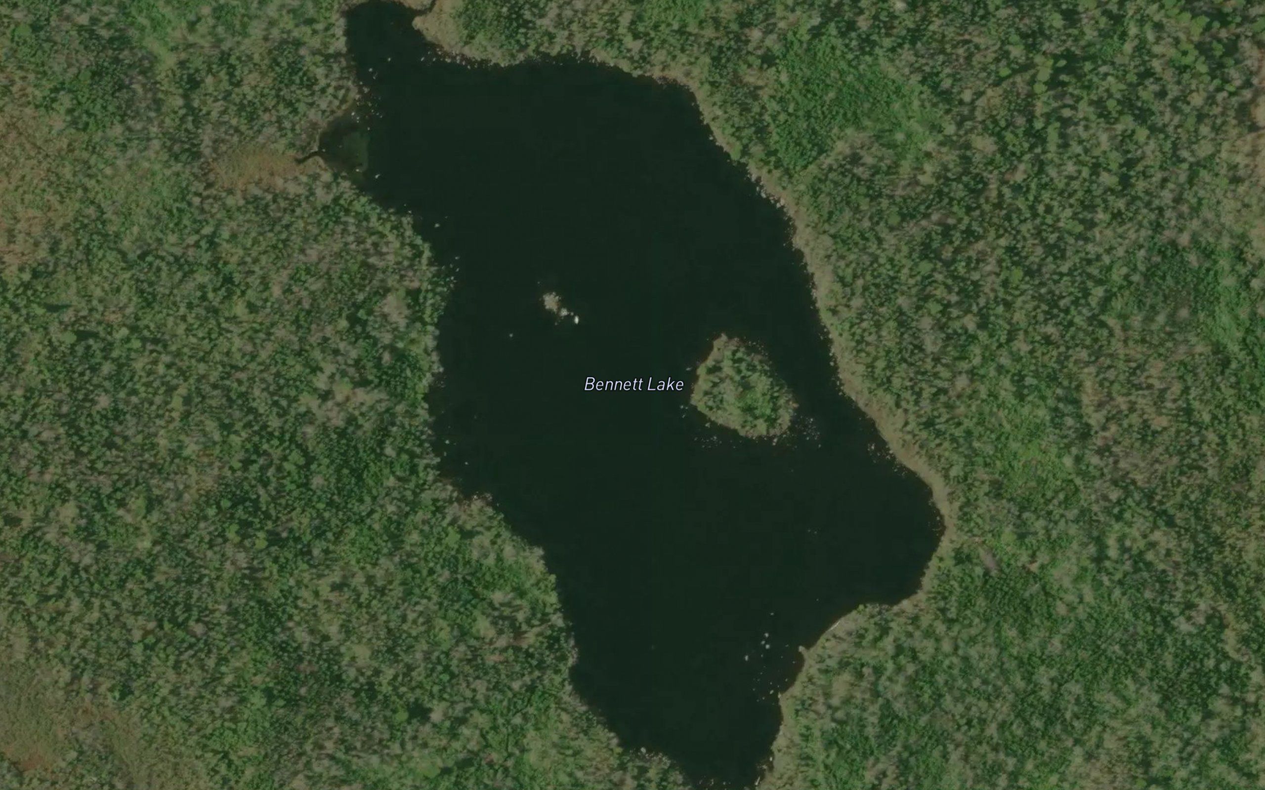 Bennett Lake