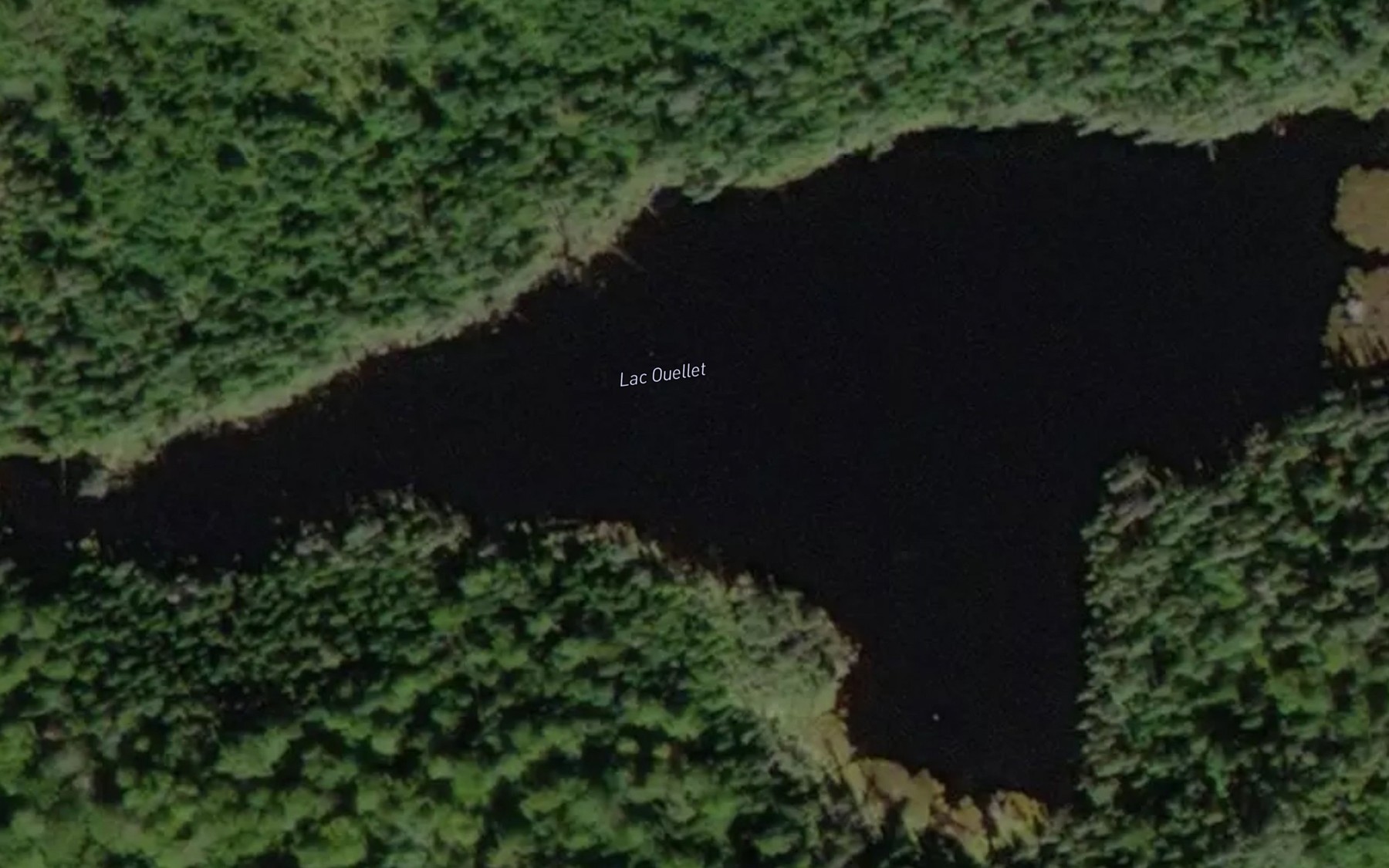 Satellite map of the Lac Ouellet