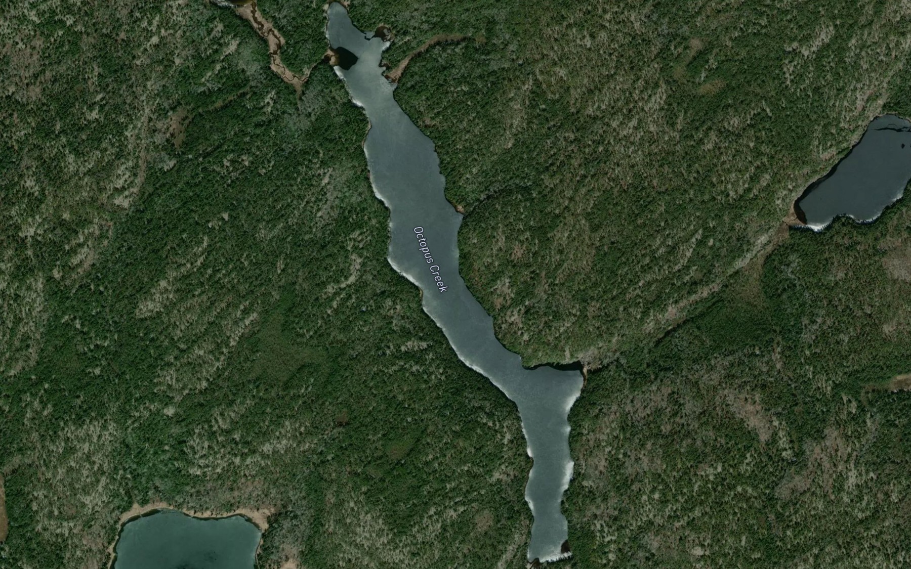 Satellite map of the Pine Lake