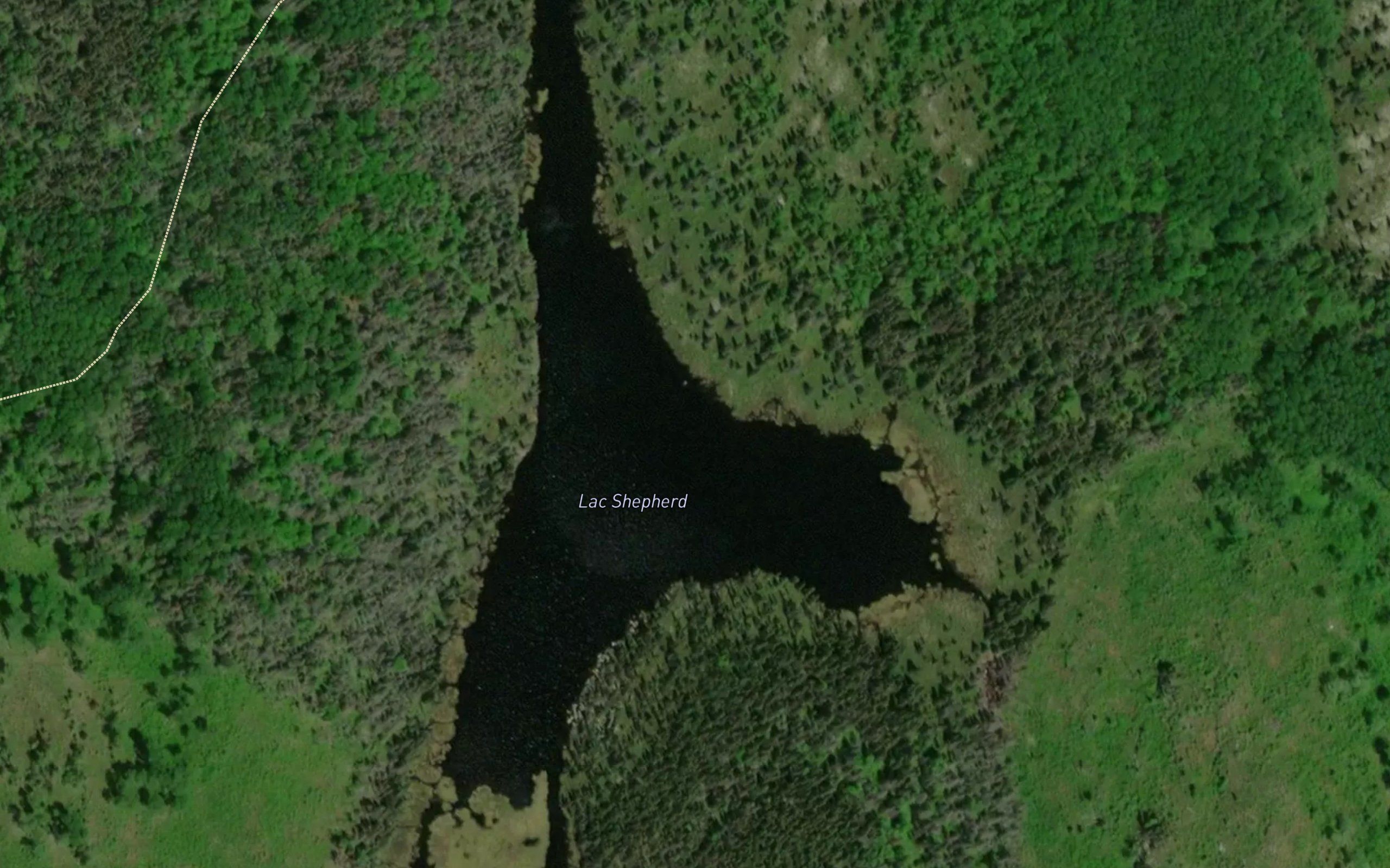 Lac Shepherd