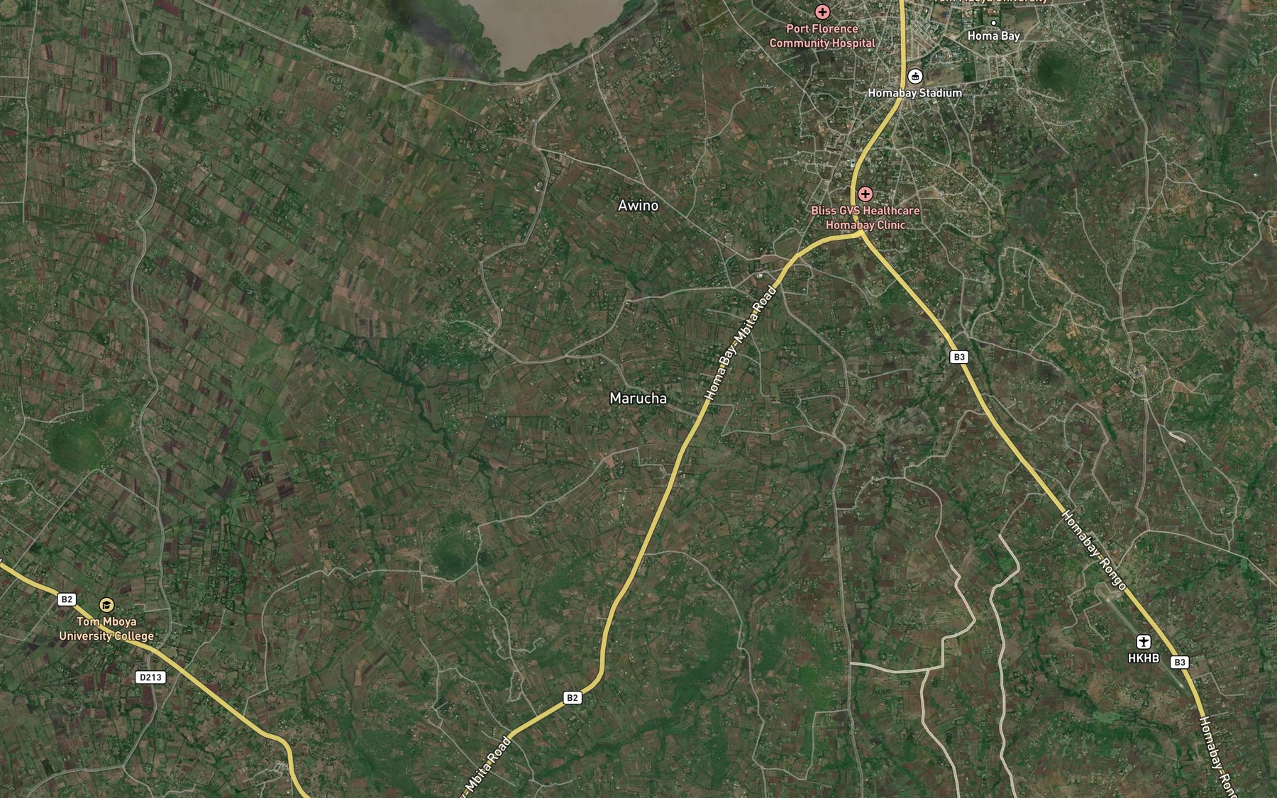 Satellite map of the Olando