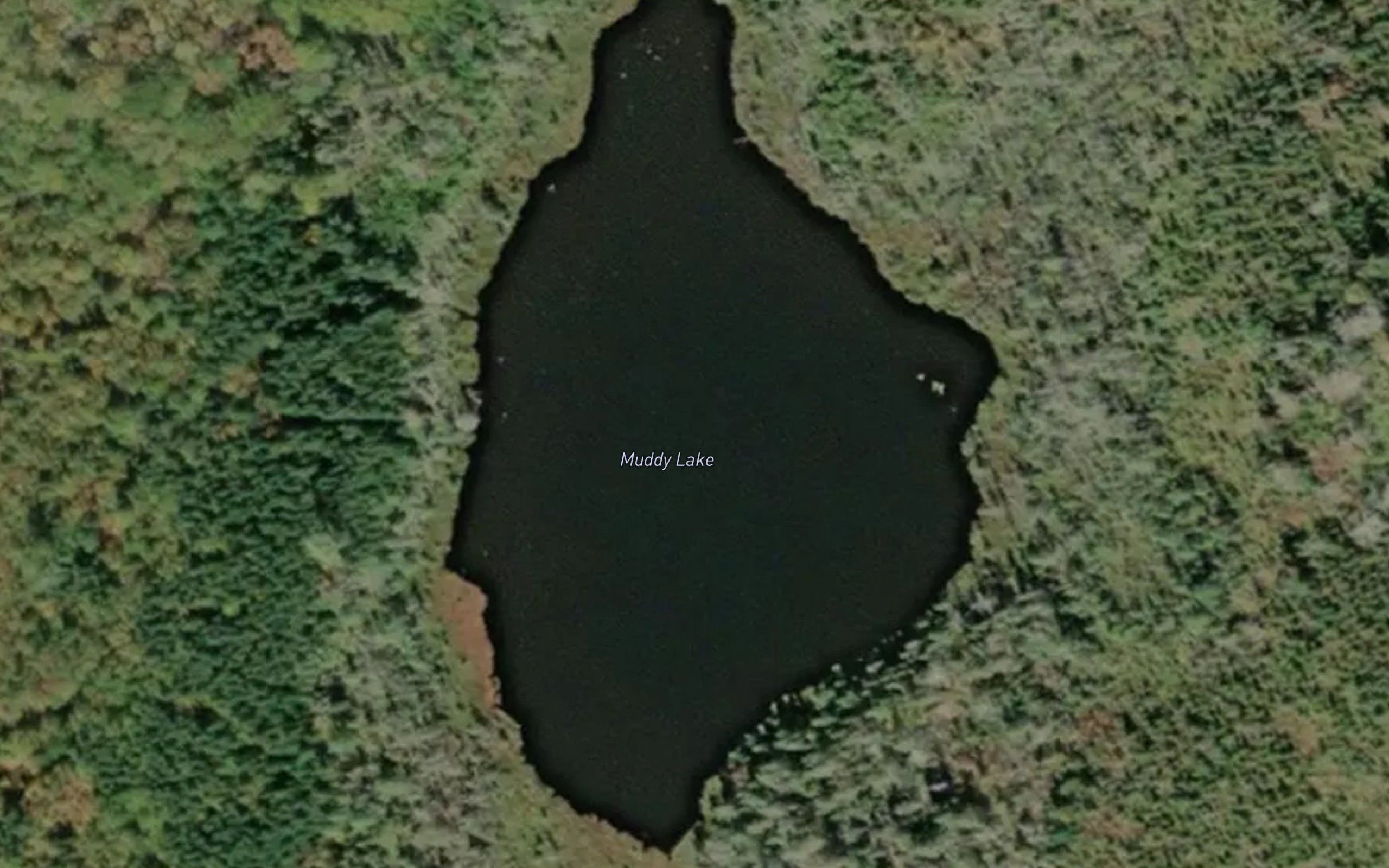 Muddy Lake