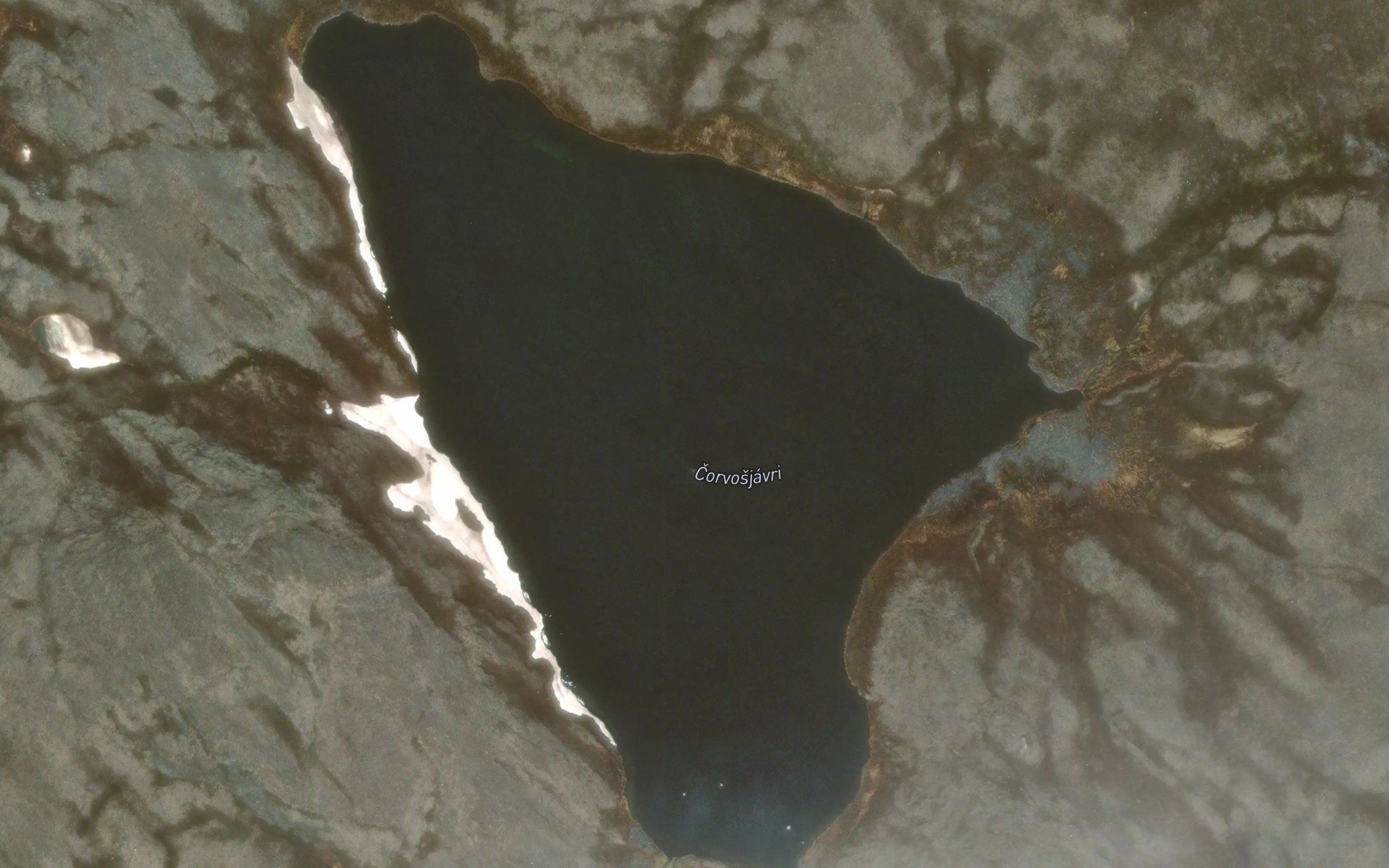 Carvusjavri