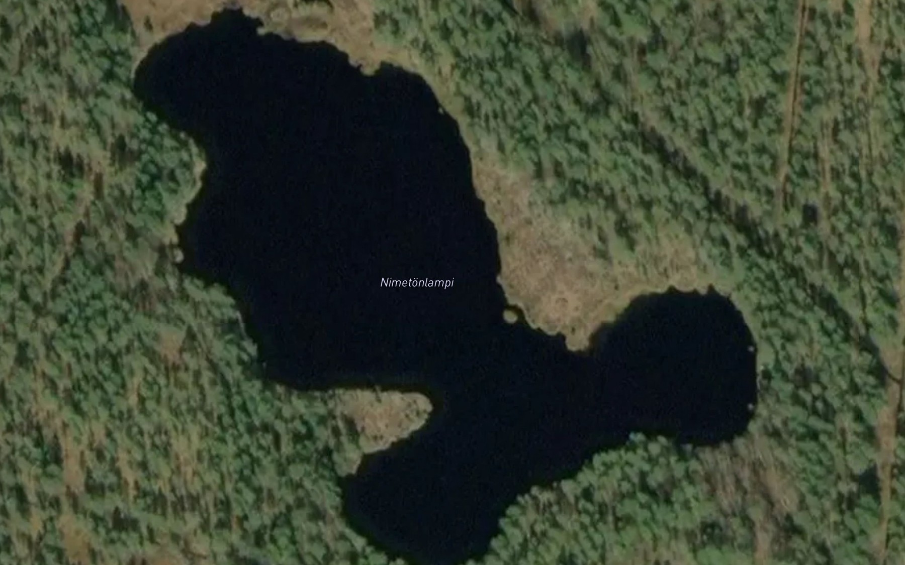 Satellite map of the Nimetonlampi