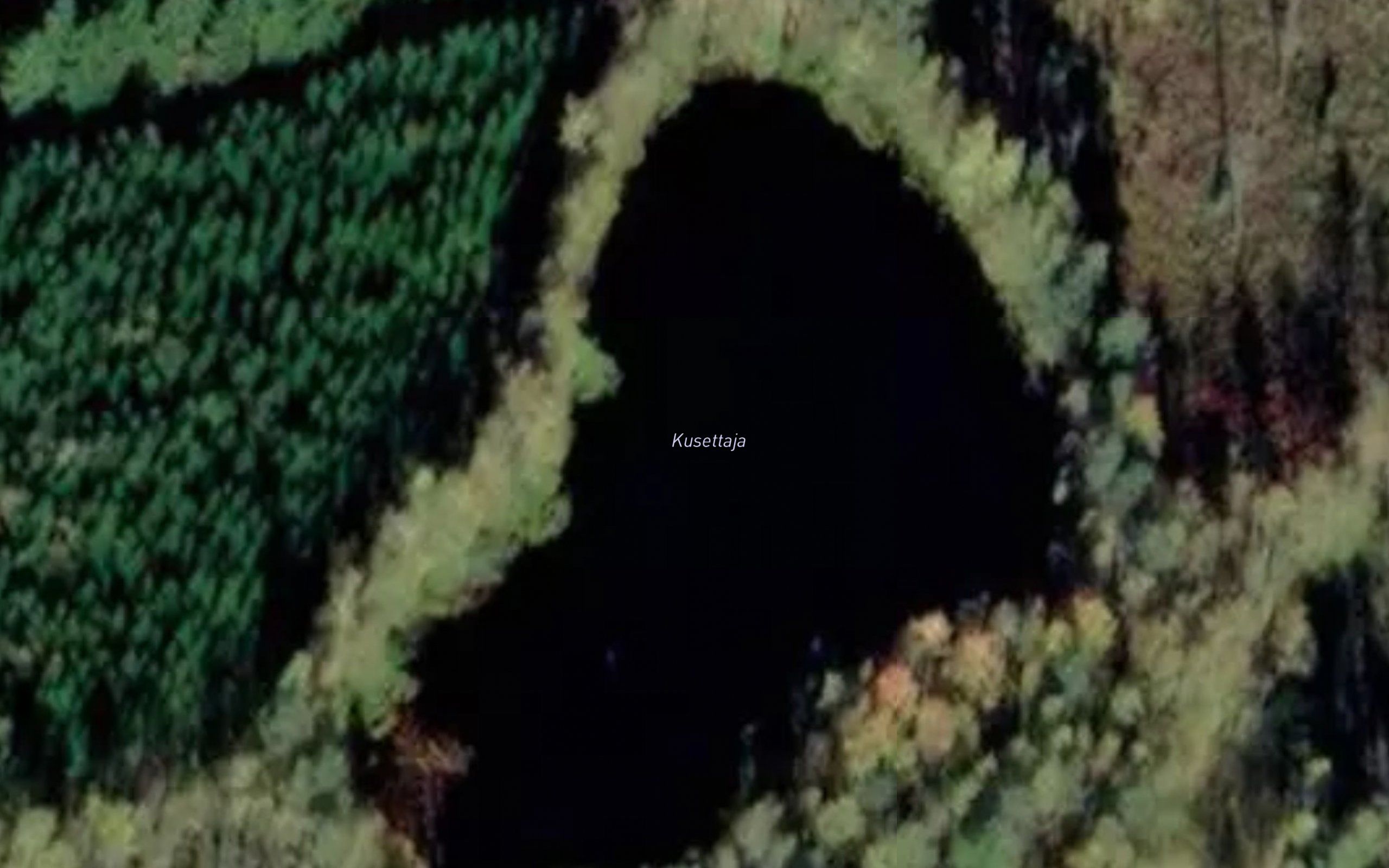 Kusettaja