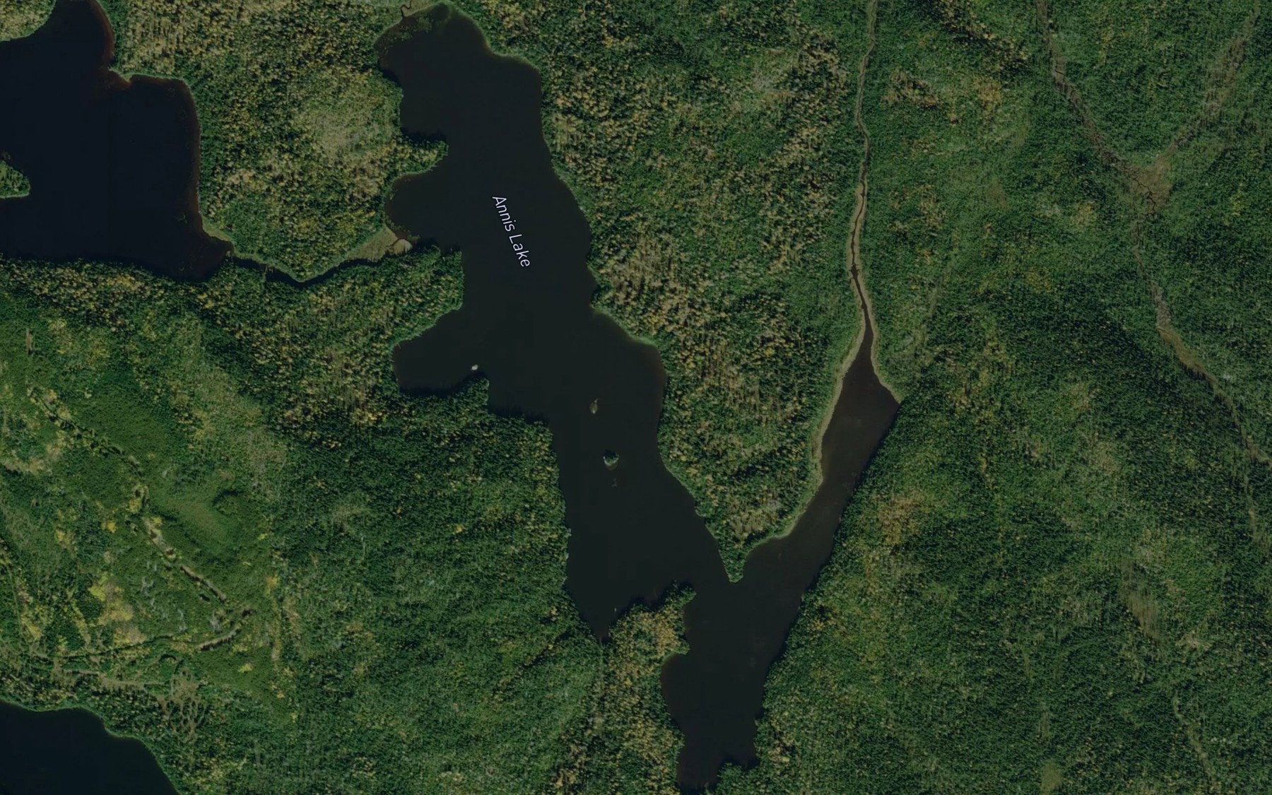 Satellite map of the Annis Lake