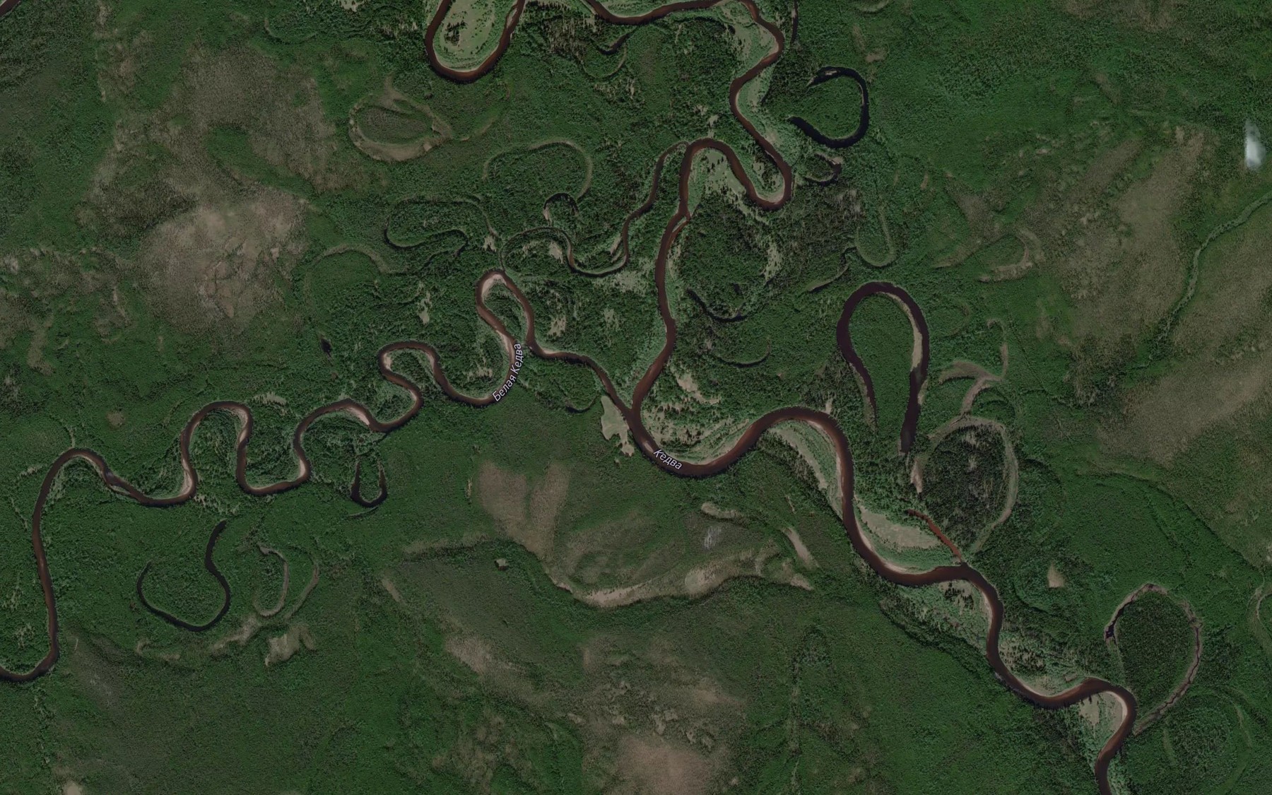 Satellite map of the Chernaya Kedva