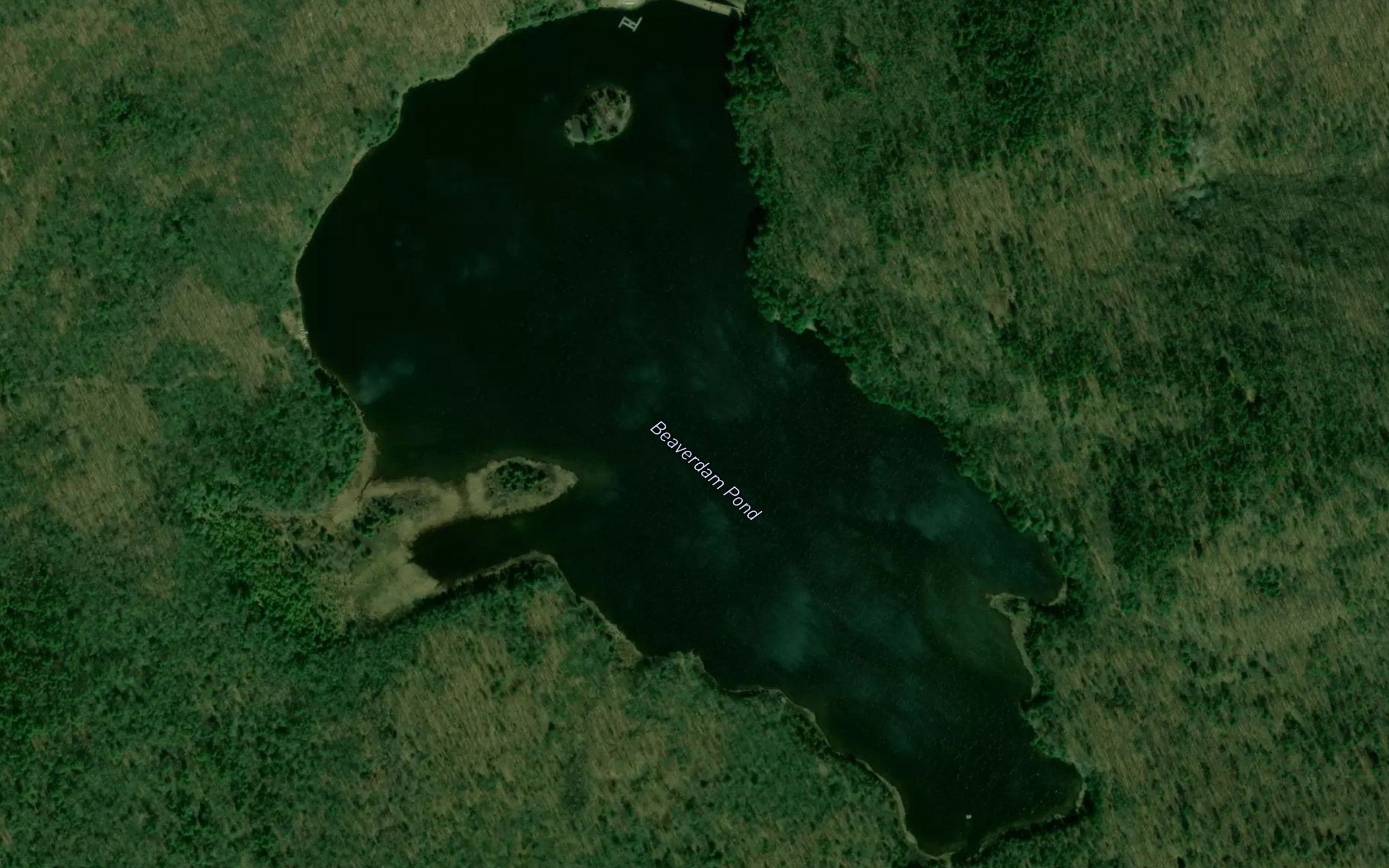 Beaverdam Pond