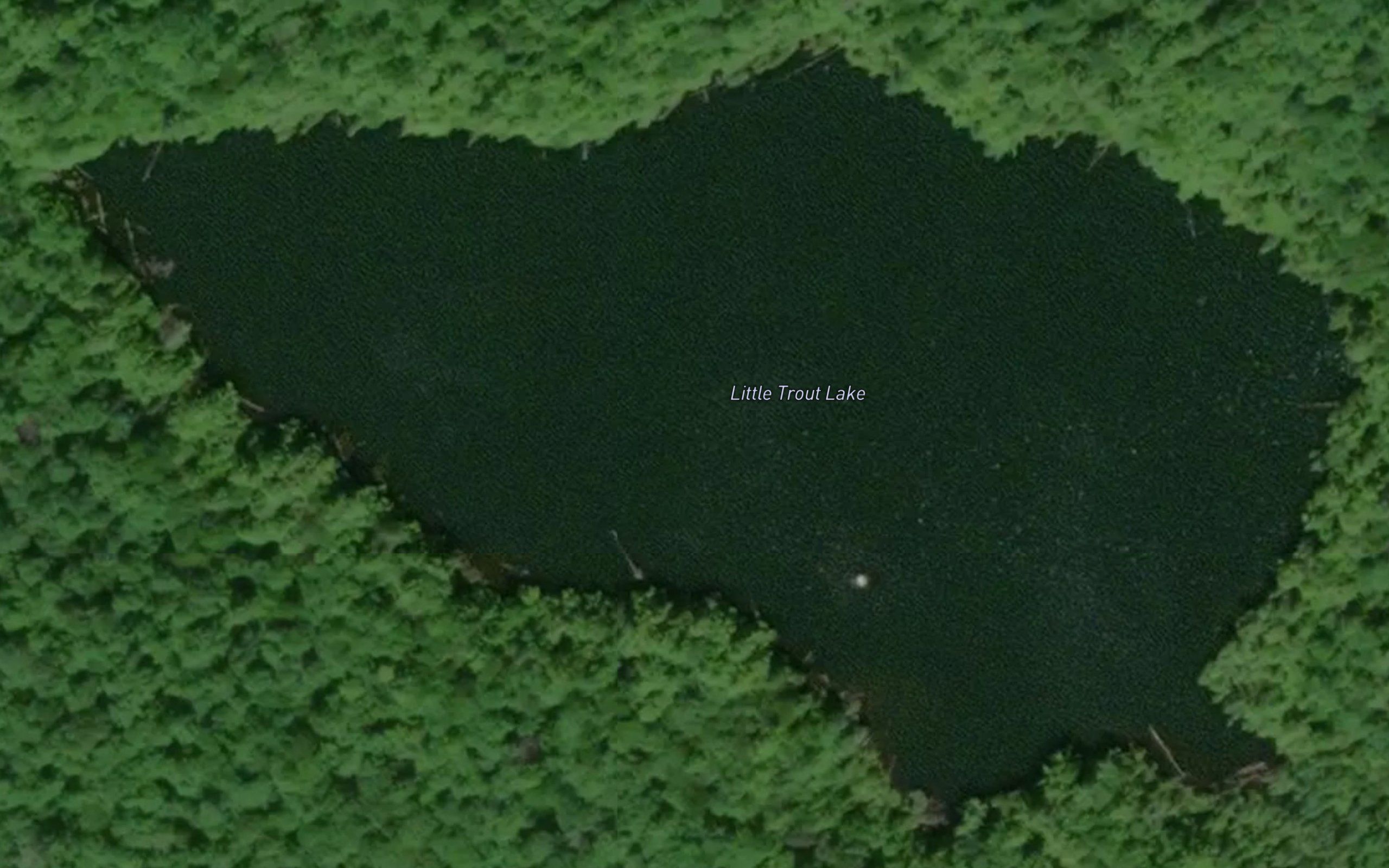 Little Trout Lake