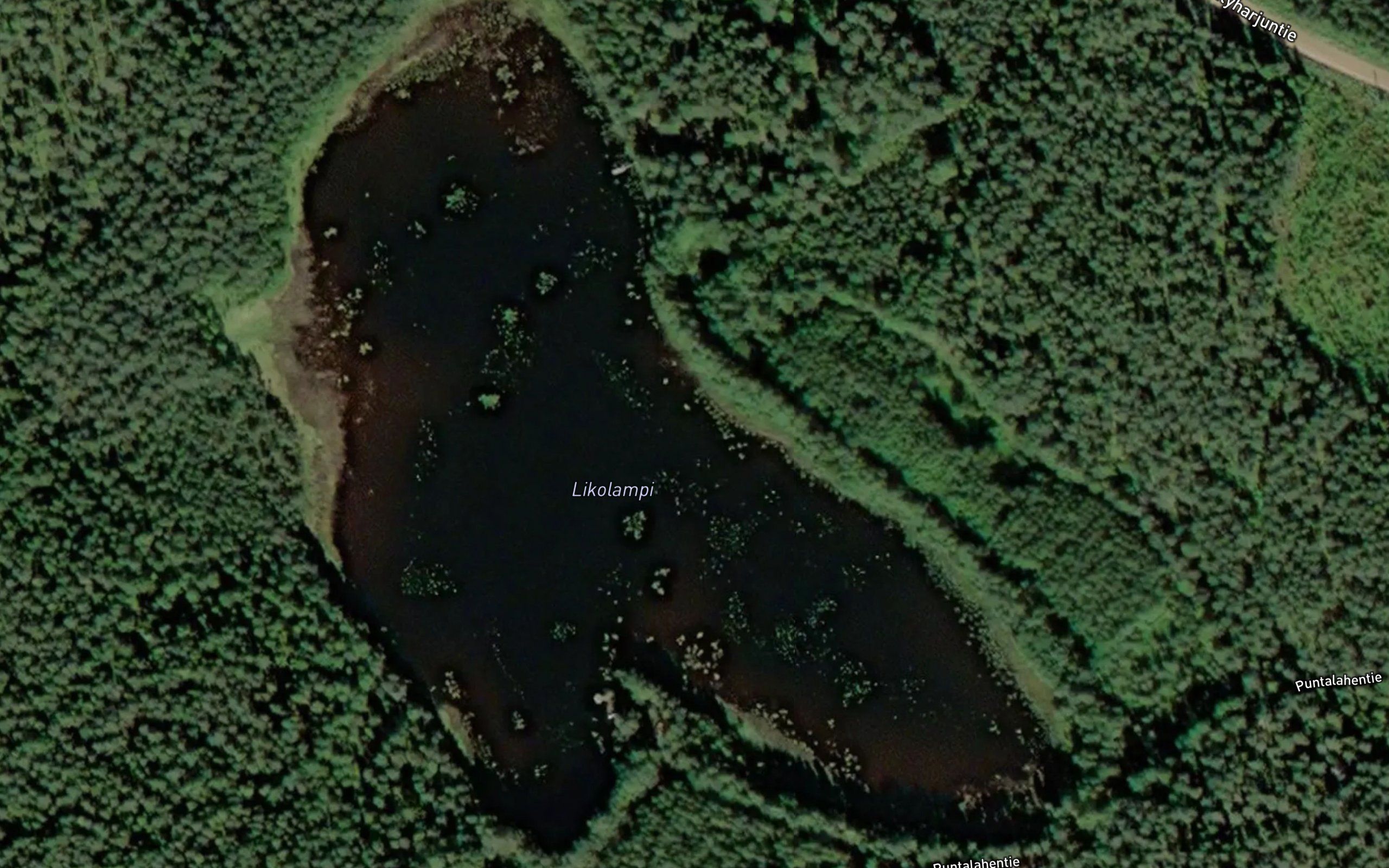 Likolampi