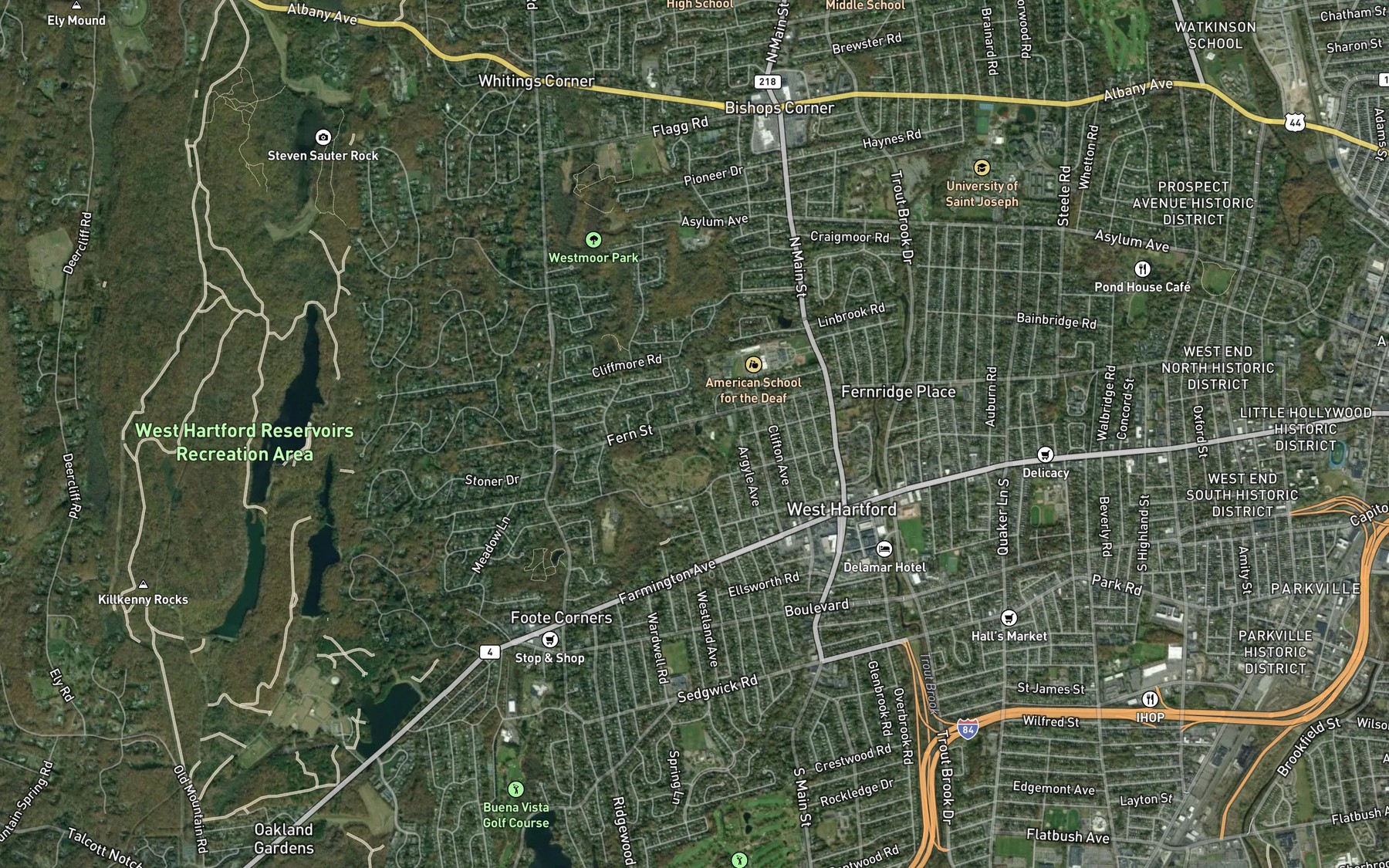 Satellite map of the Trout Brook