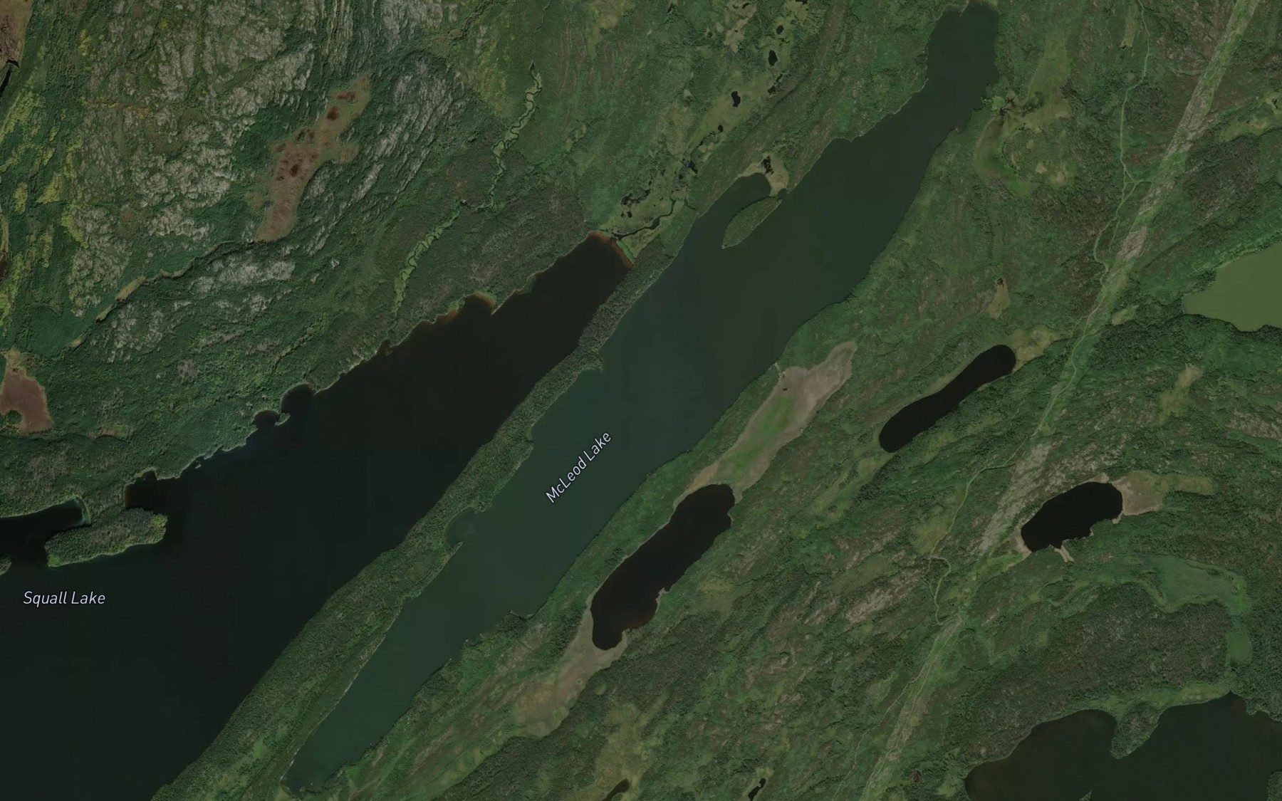Satellite map of the McLeod Lake