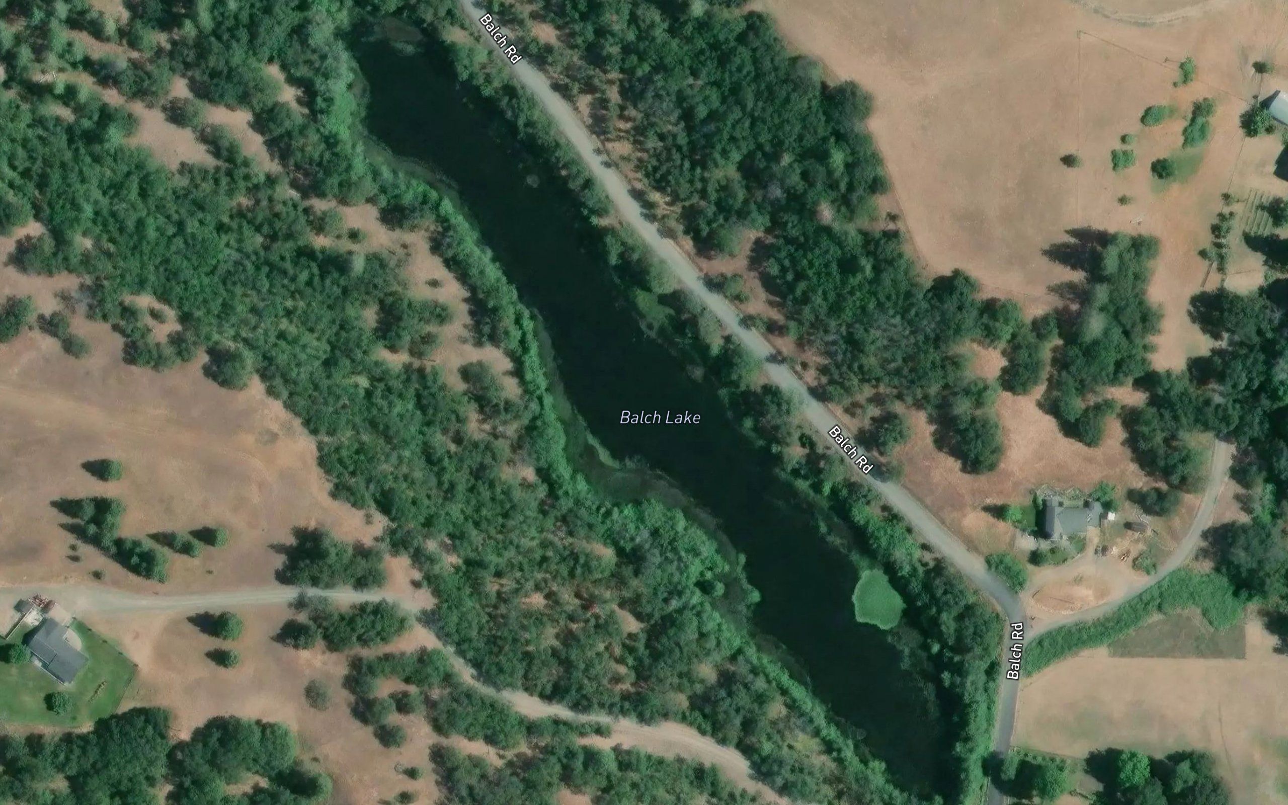 Balch Lake