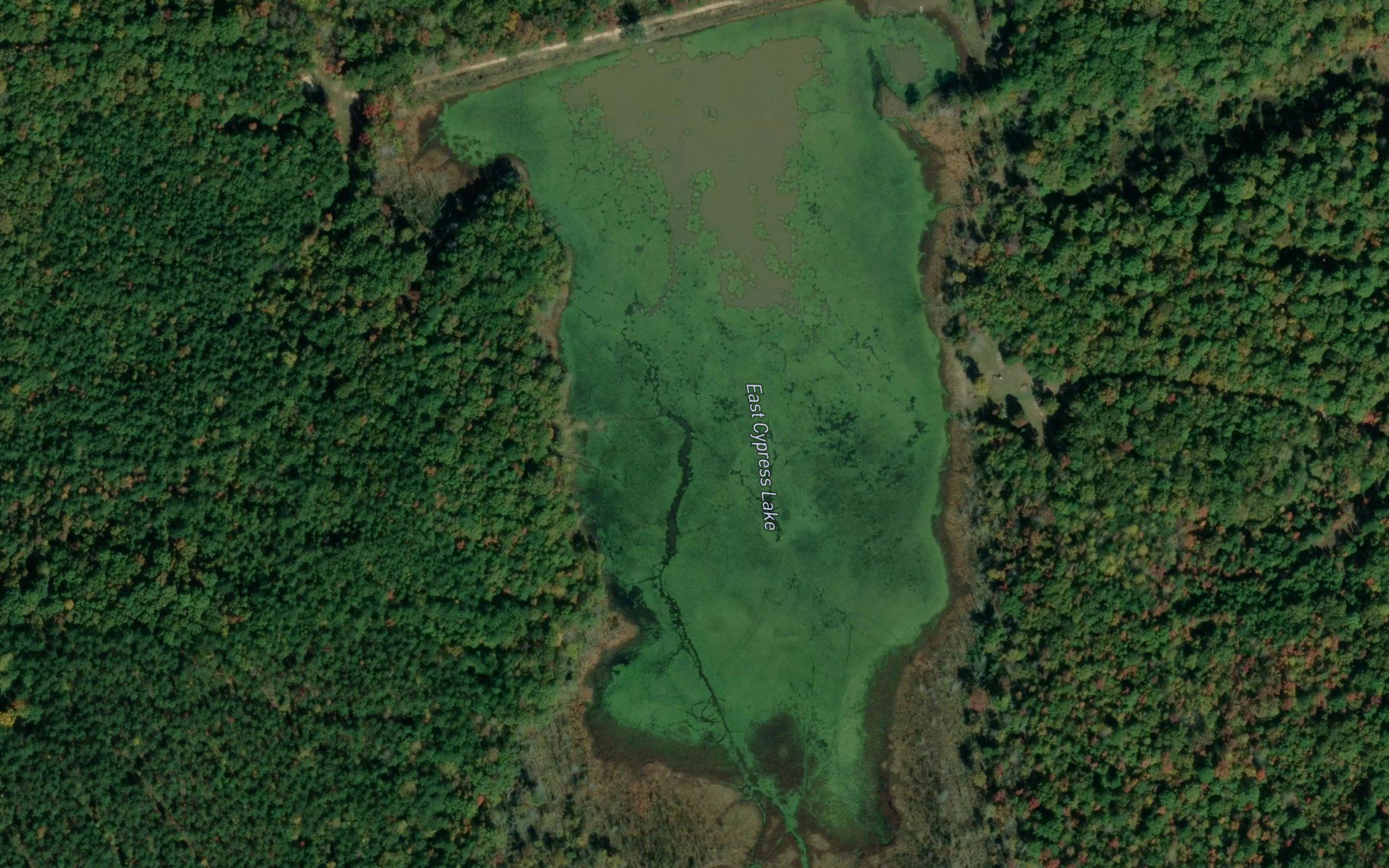 East Cypress Lake