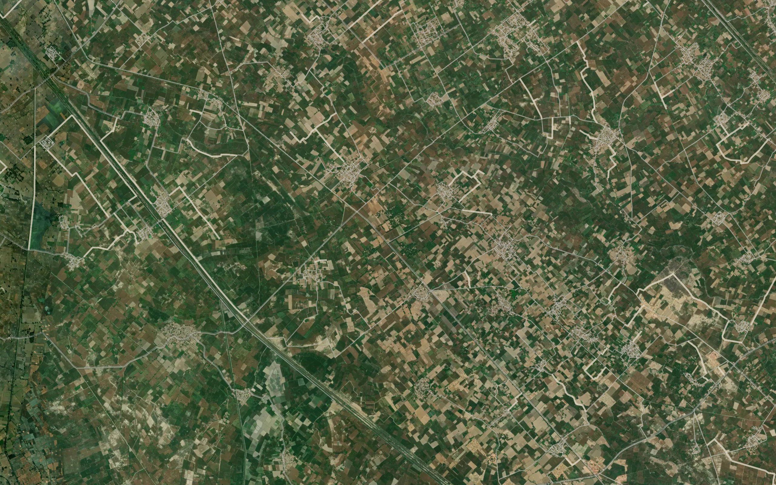 Salimpur Minor