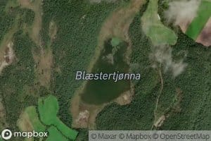Blaestertjorna