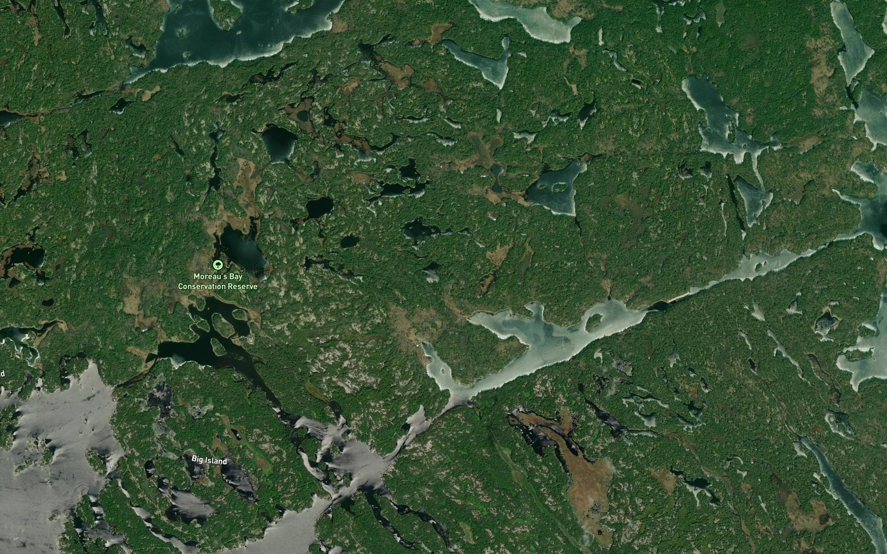 Satellite map of the King Bay