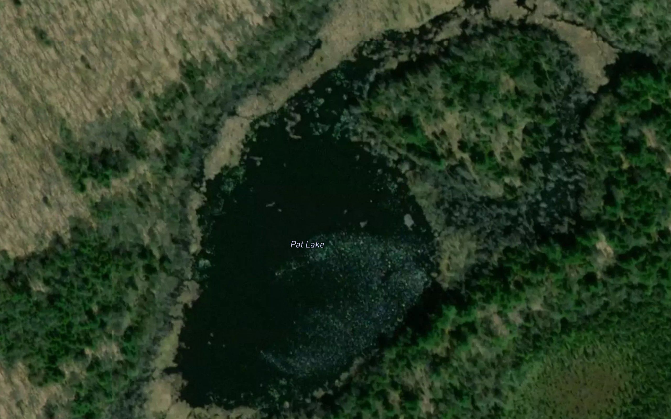 Pat Lake