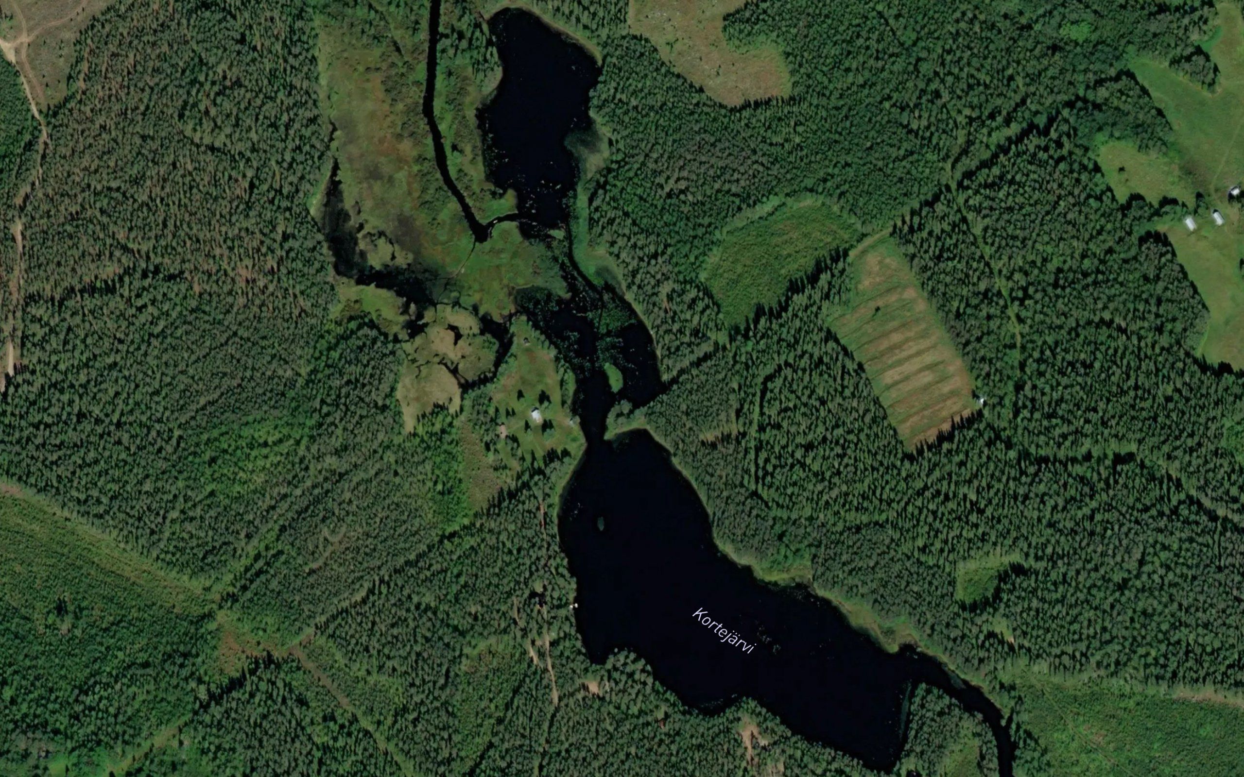 Kortejarvi