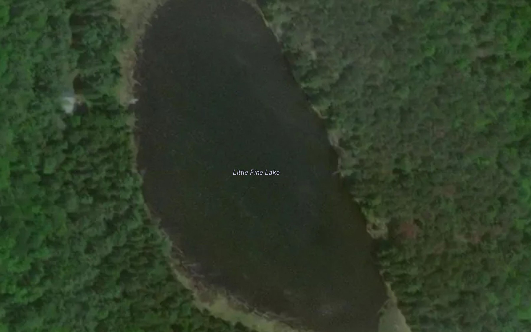 Satellite map of the Little Pine Lake