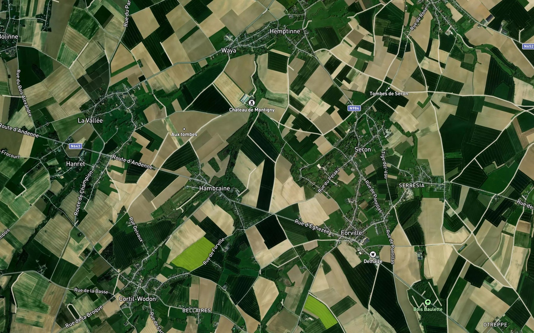 Satellite map of the Pontillas