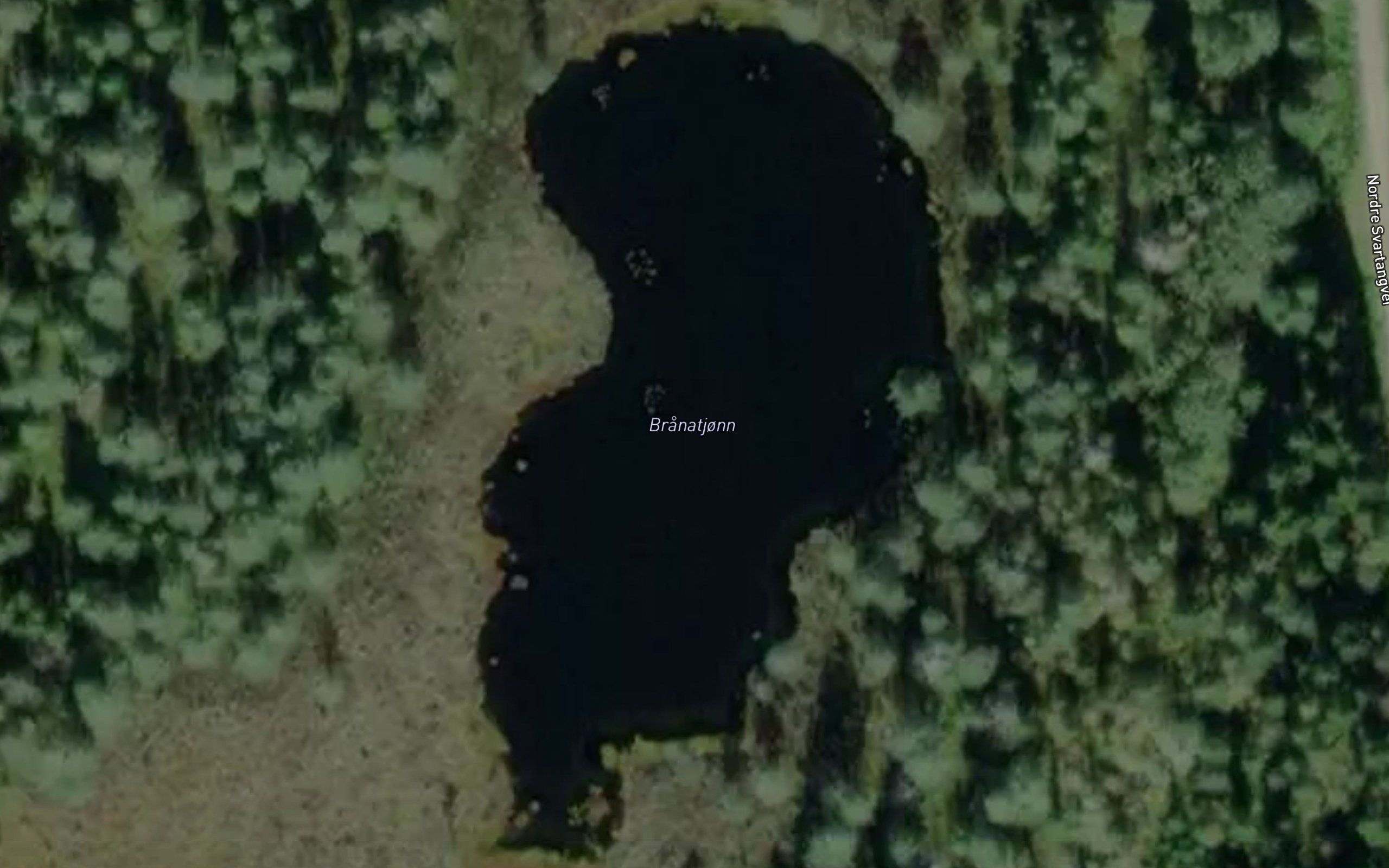 Branatjonn