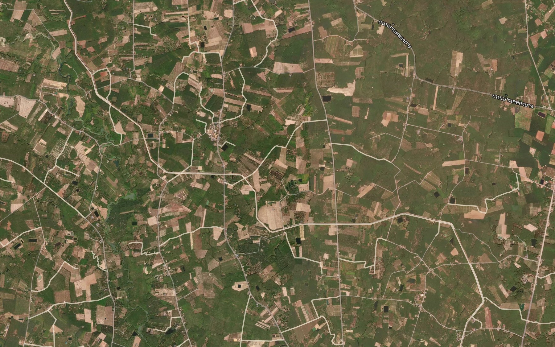 Satellite map of the Nong Yai