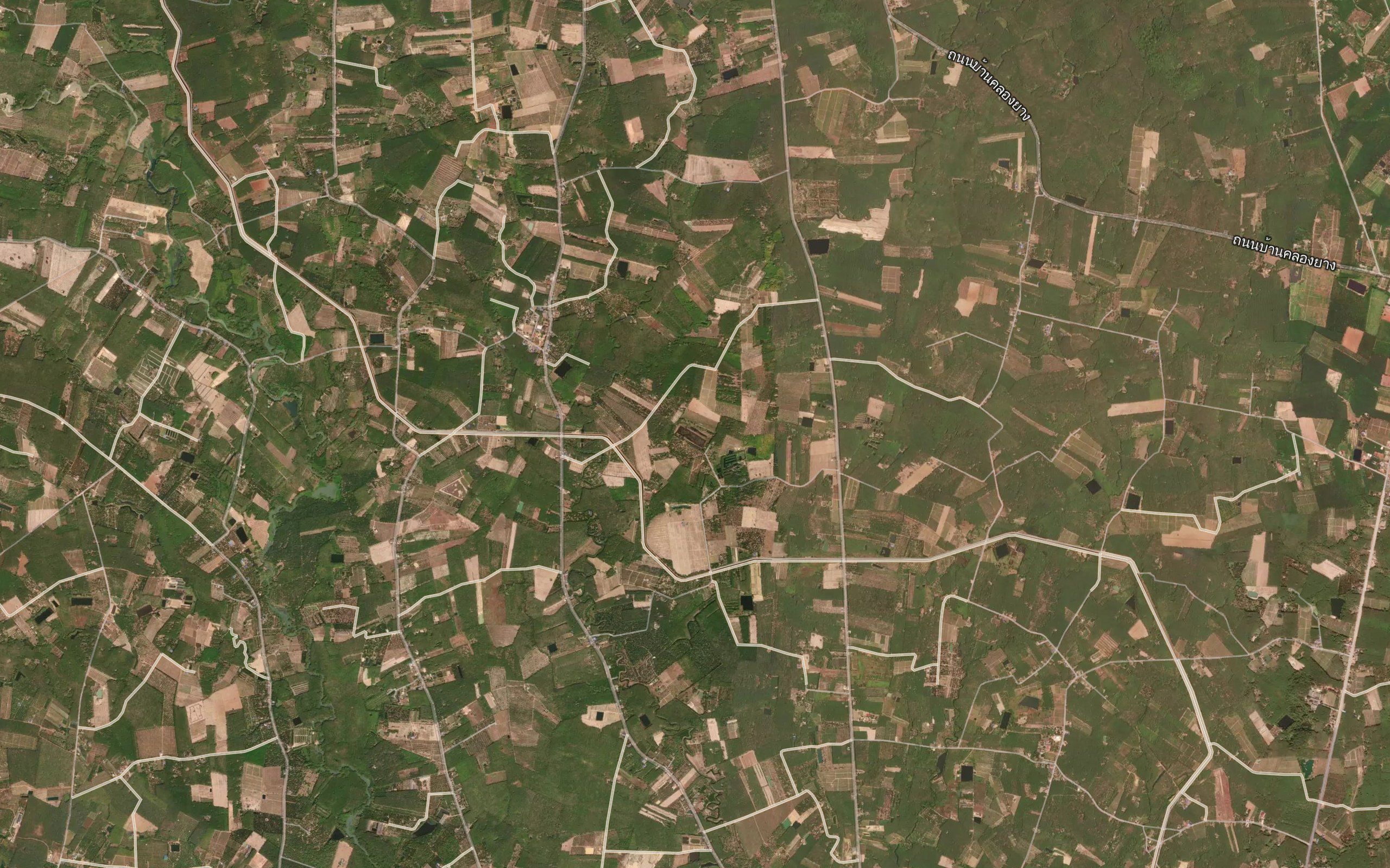 Nong Yai