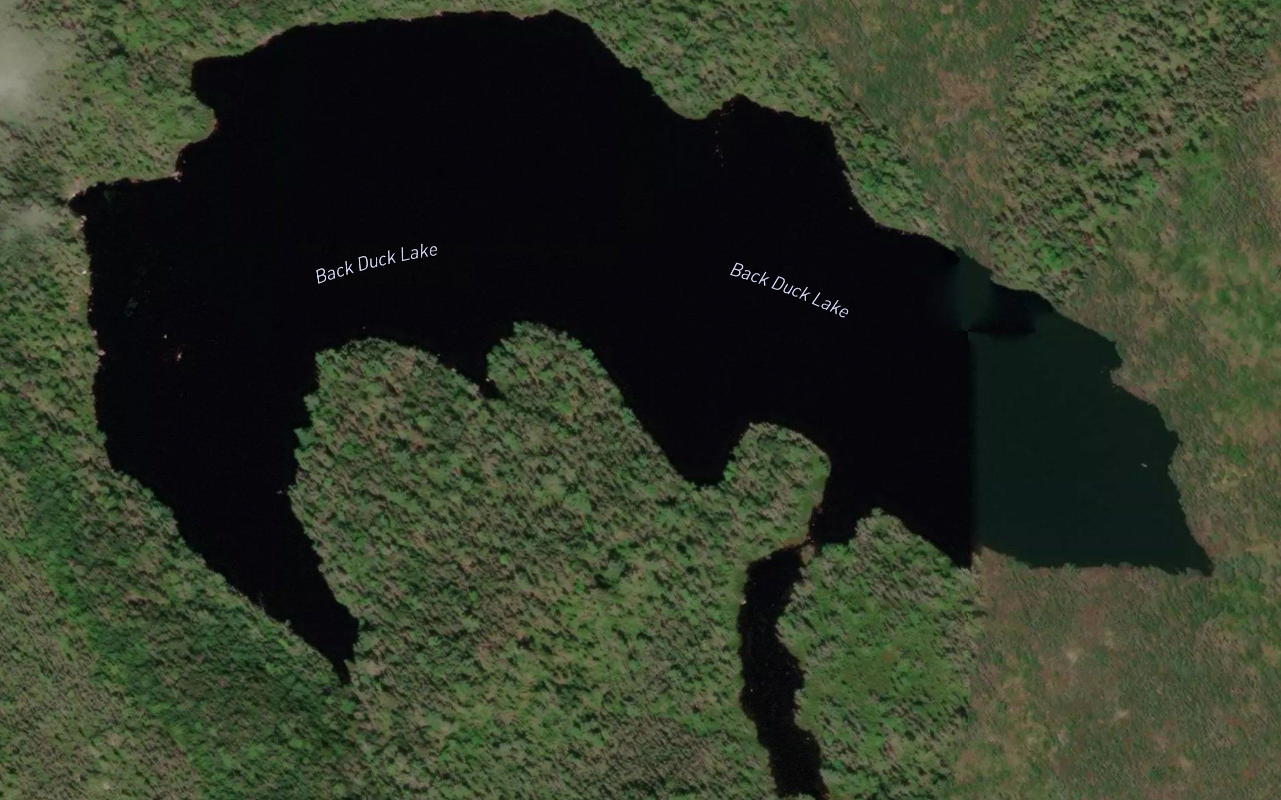 Back Duck Lake