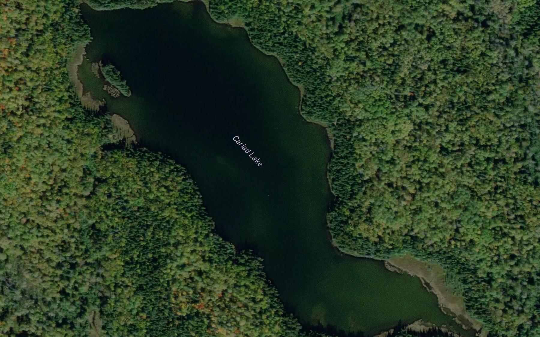 Satellite map of the Cariad Lake